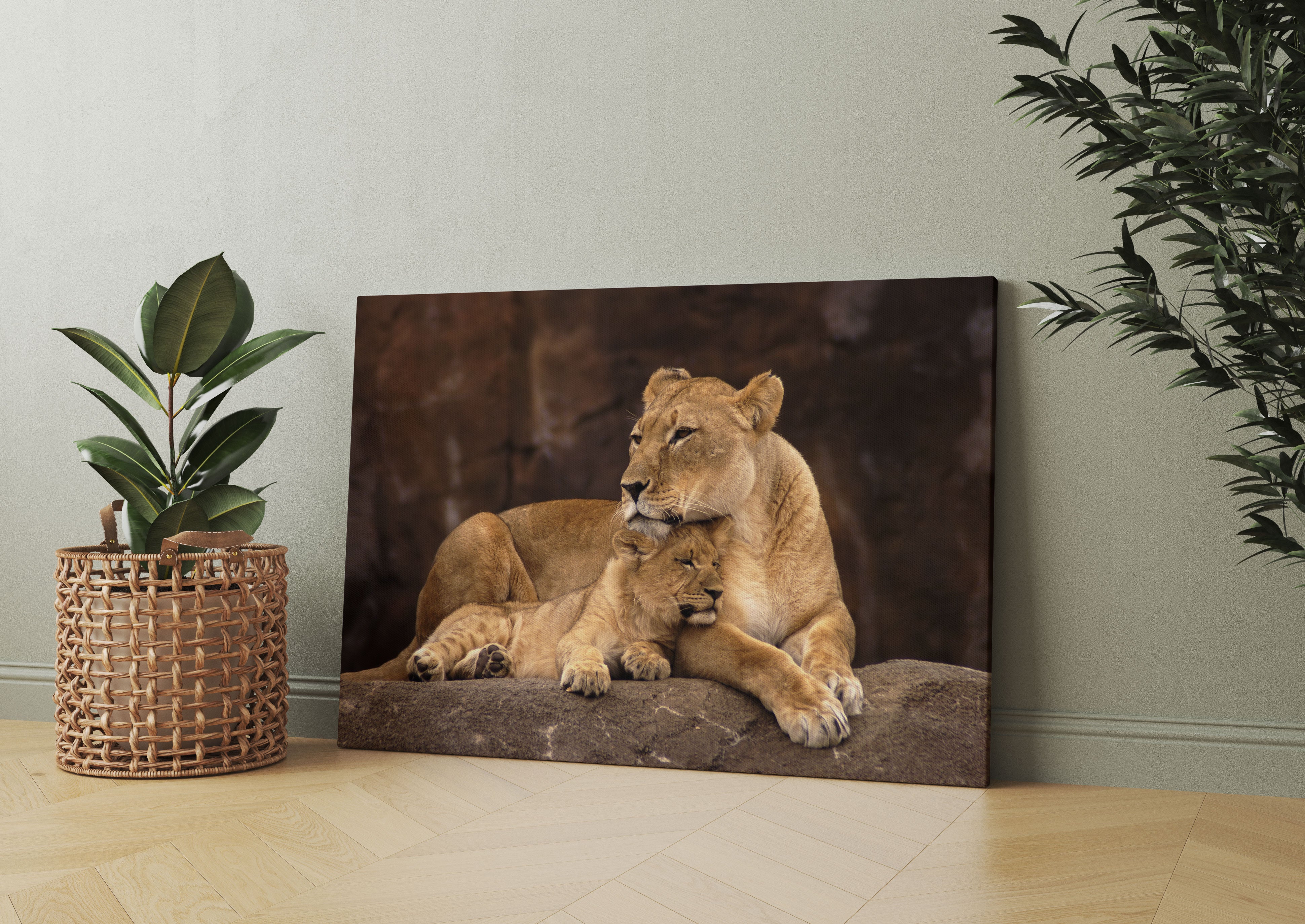 Löwe mit Löwenjungen Leinwandbild Wohnzimmer