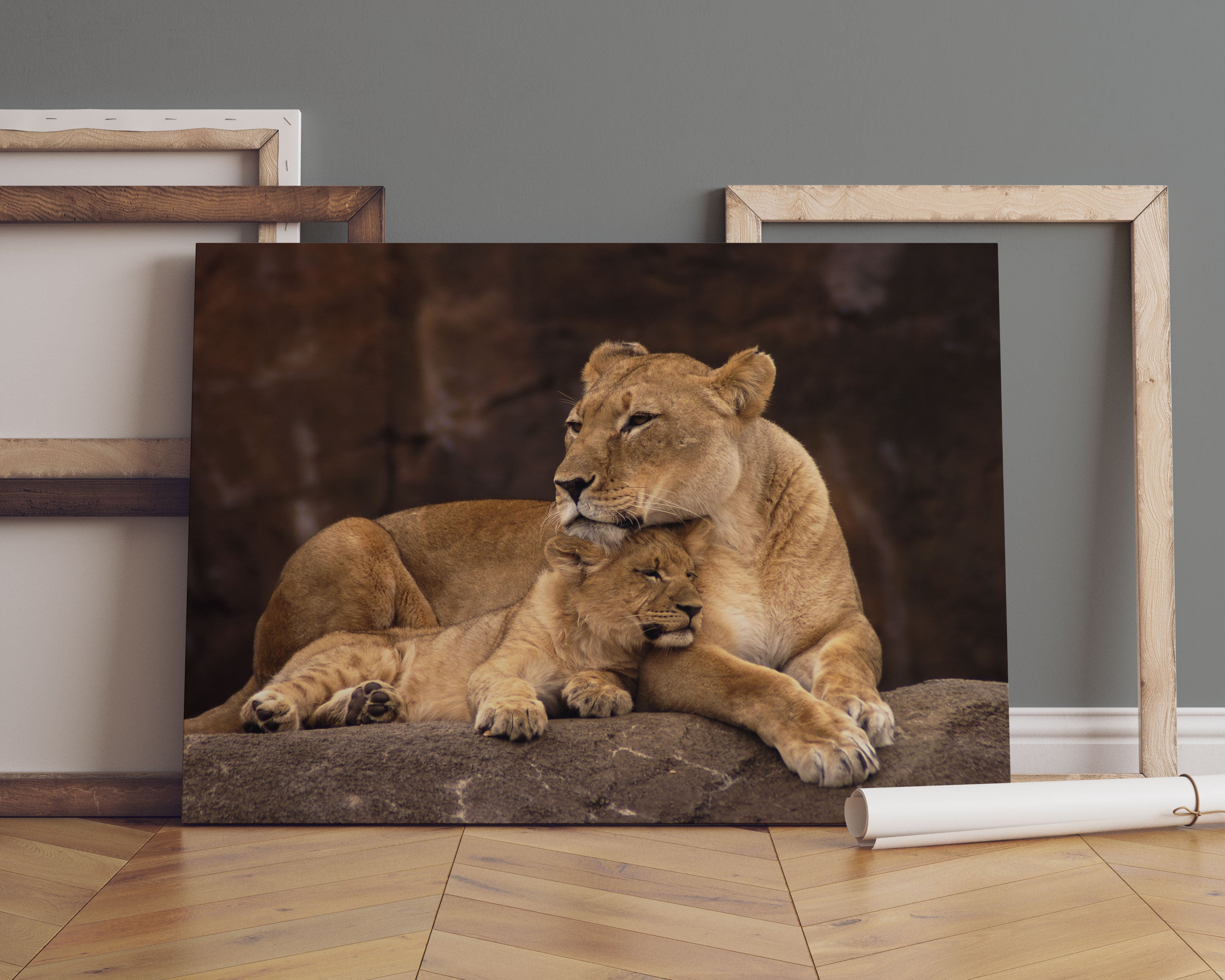 Löwe mit Löwenjungen Leinwandbild Sofa