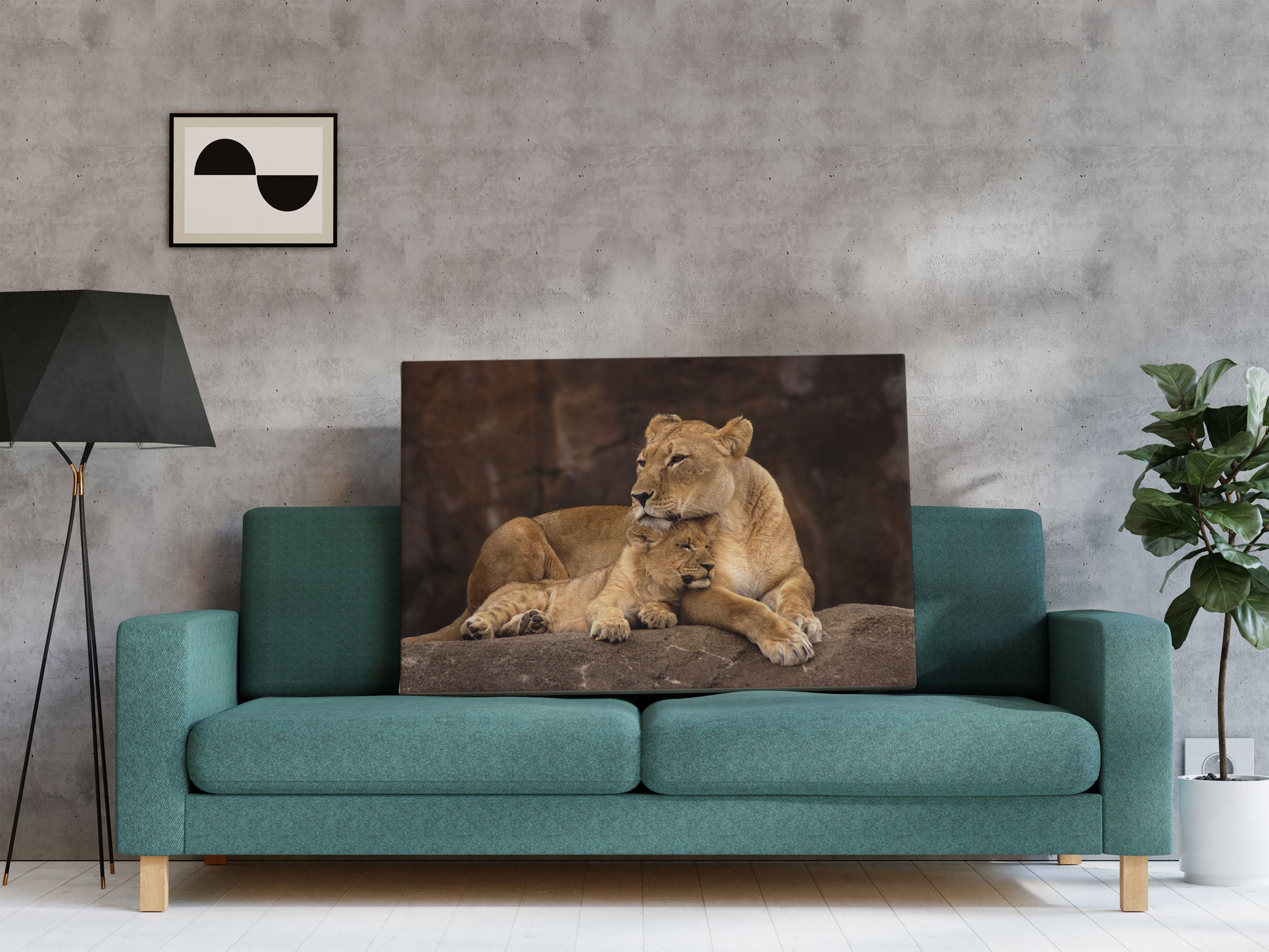 Löwe mit Löwenjungen Leinwandbild Regal