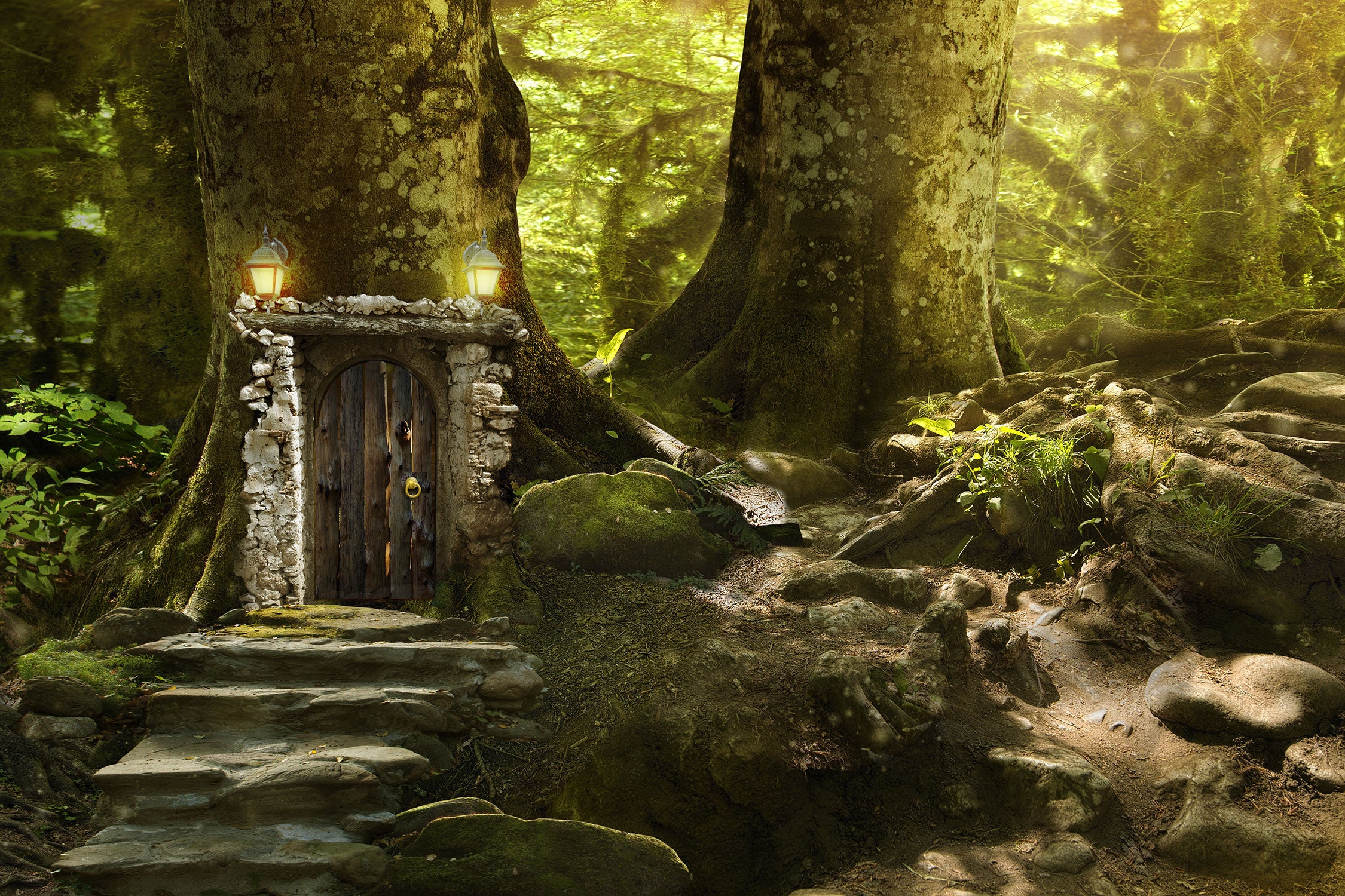 Geheimes Tor im Wald, Glasbild