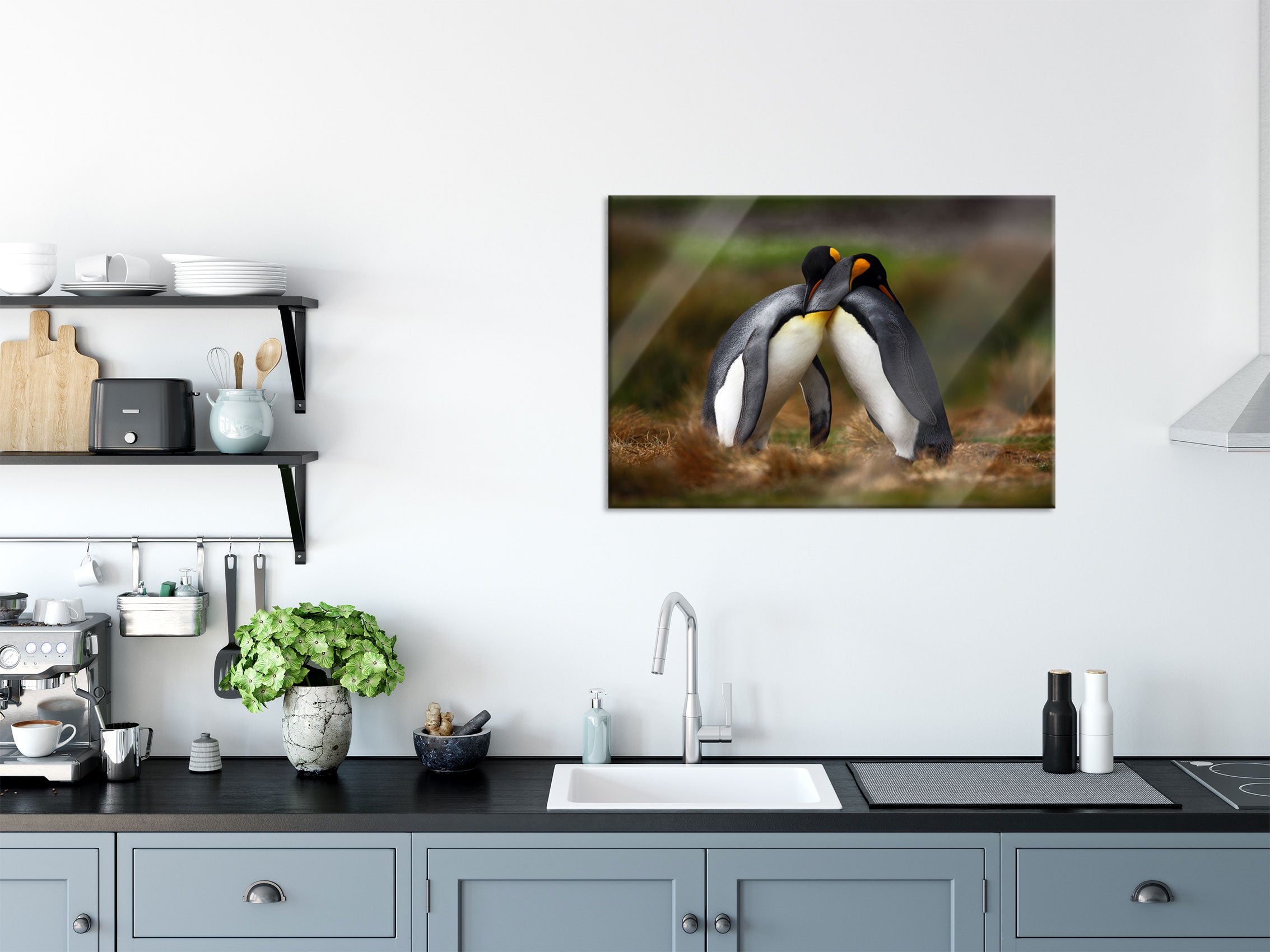 Pinguine in der Antarktis, Glasbild