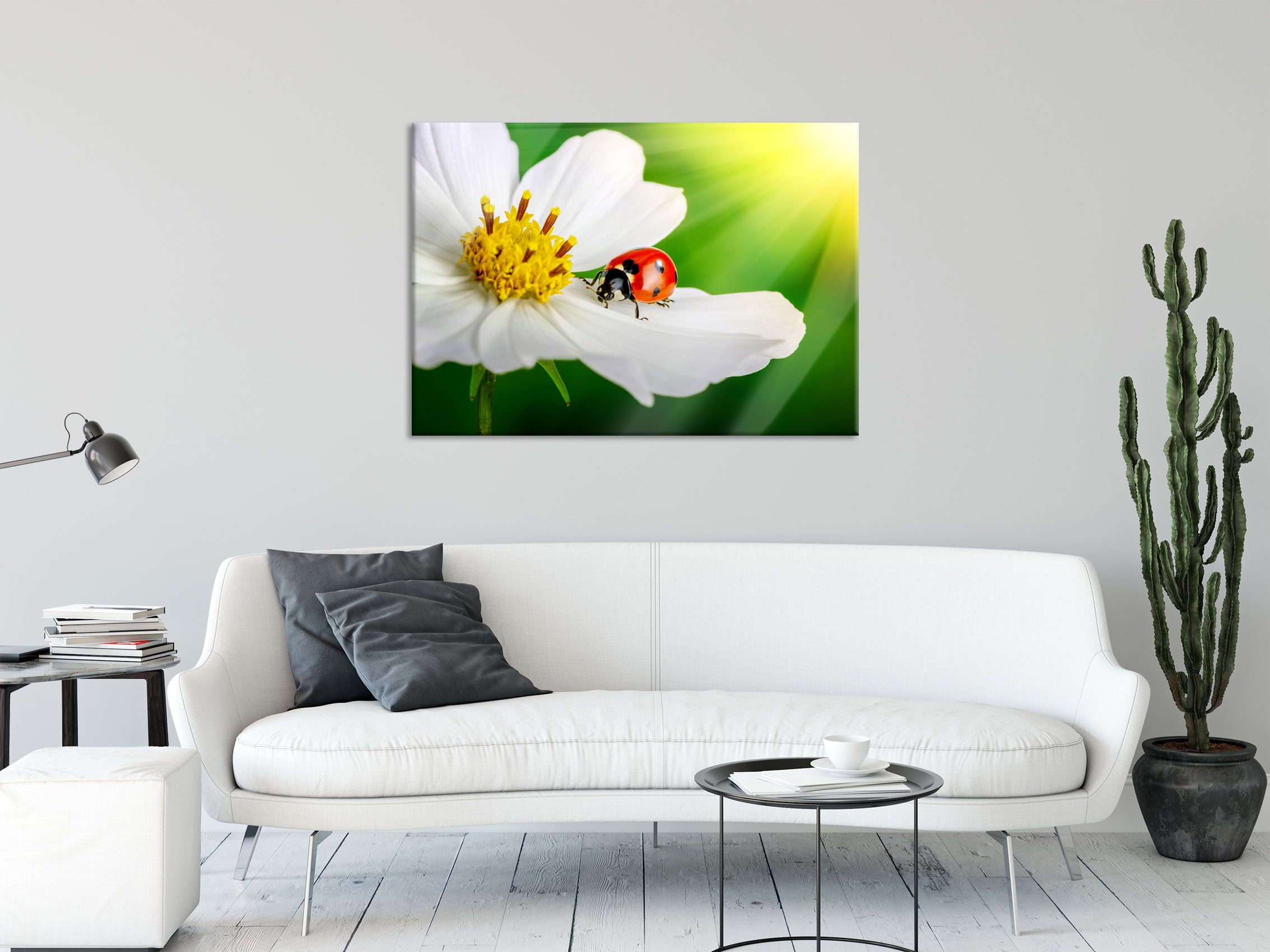 Marienkäfer auf einer weißen Blume, Glasbild