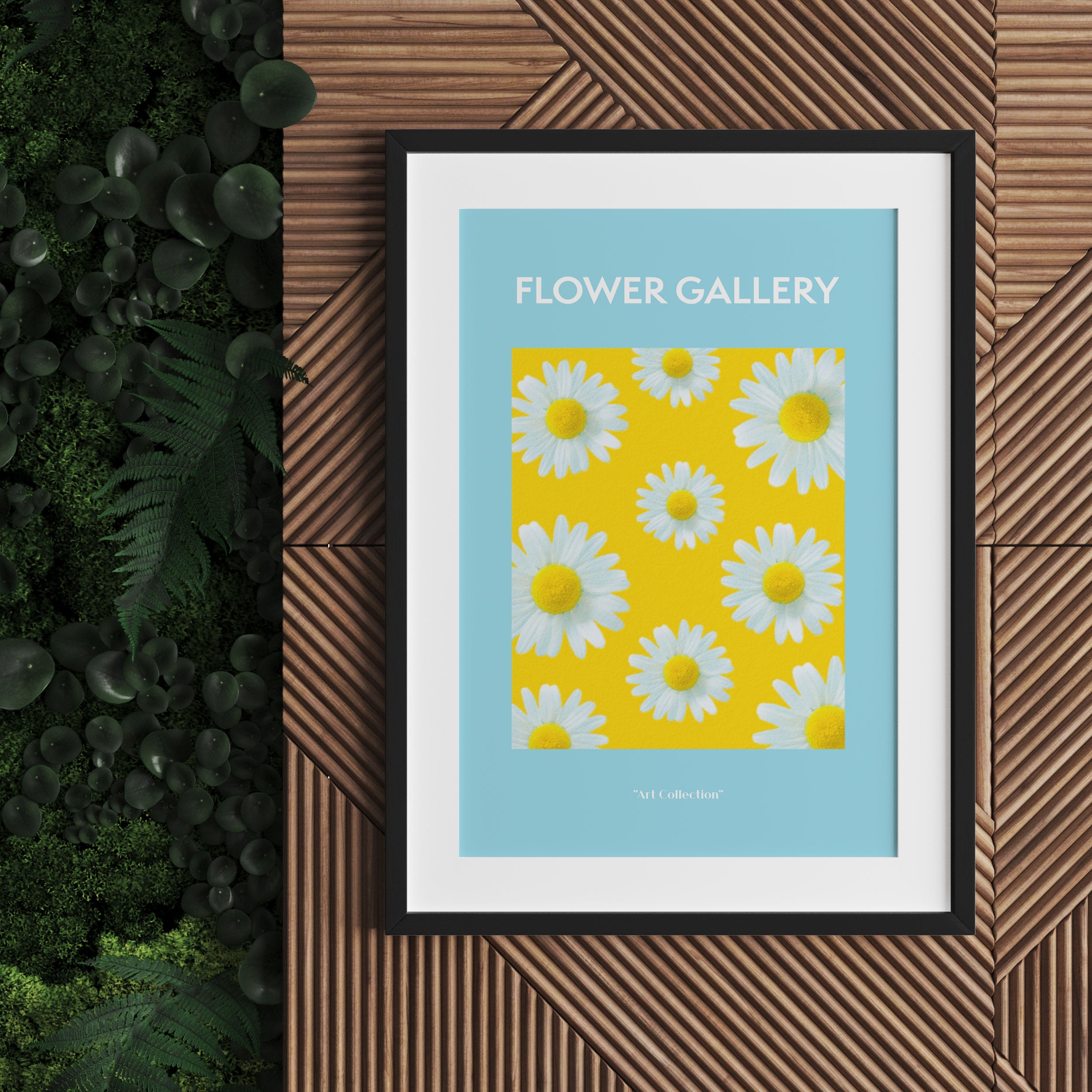 Flower Gallery - Weiße Kamille Gänseblümchen, Gerahmtes Bild