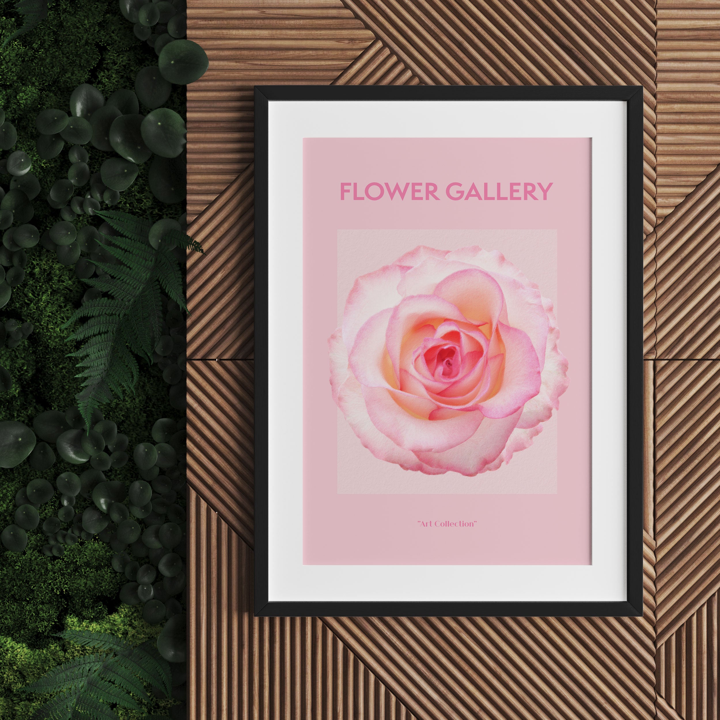Flower Gallery - Rosa Rose III, Gerahmtes Bild