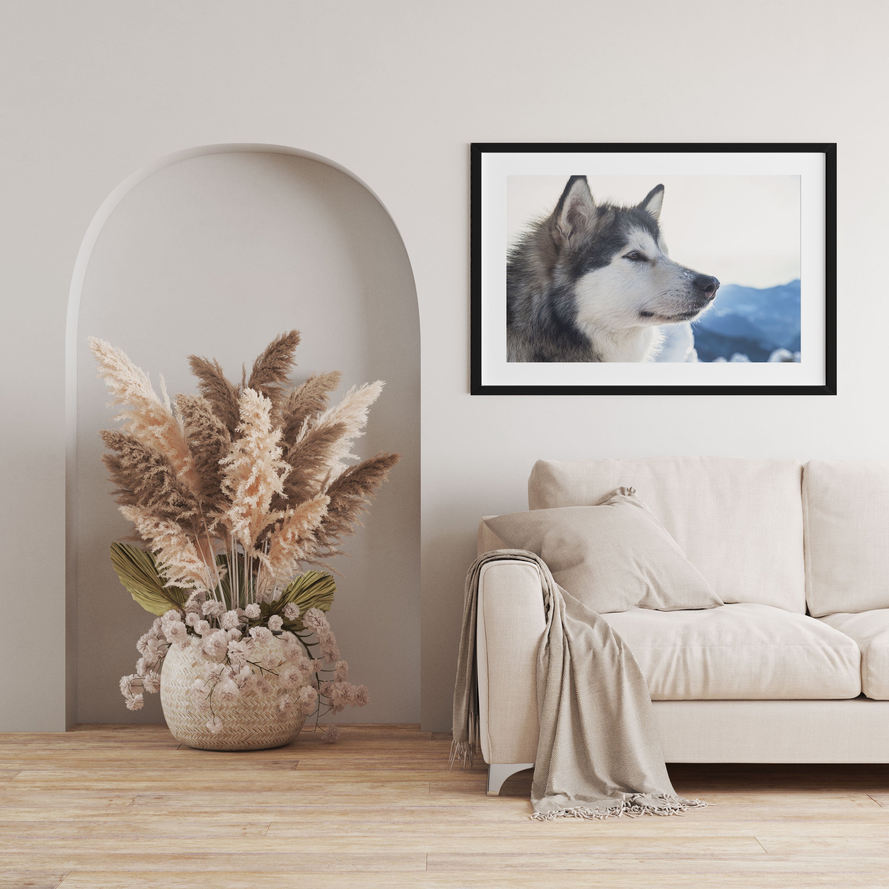 Süßer Husky im Schnee, Gerahmtes Bild
