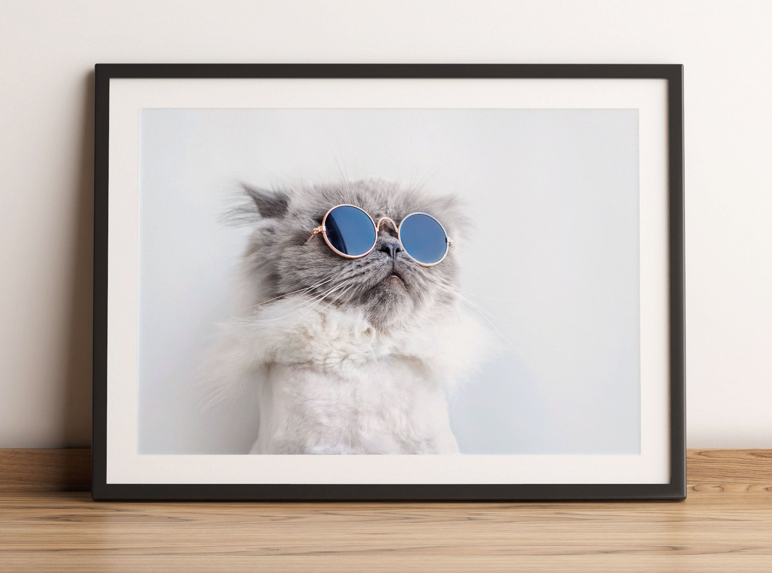 Coole Katze mit runder Sonnenbrille, Gerahmtes Bild