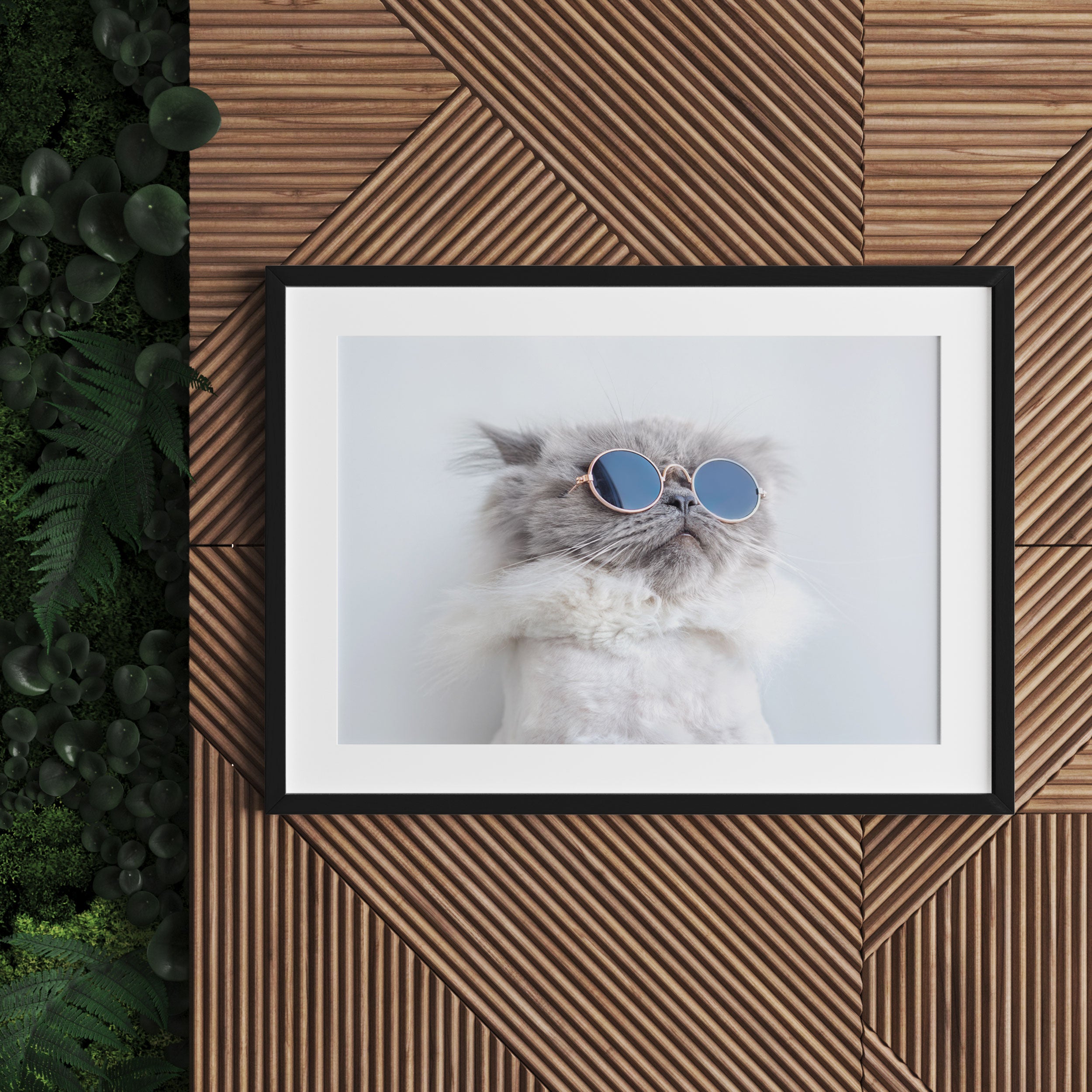 Coole Katze mit runder Sonnenbrille, Gerahmtes Bild