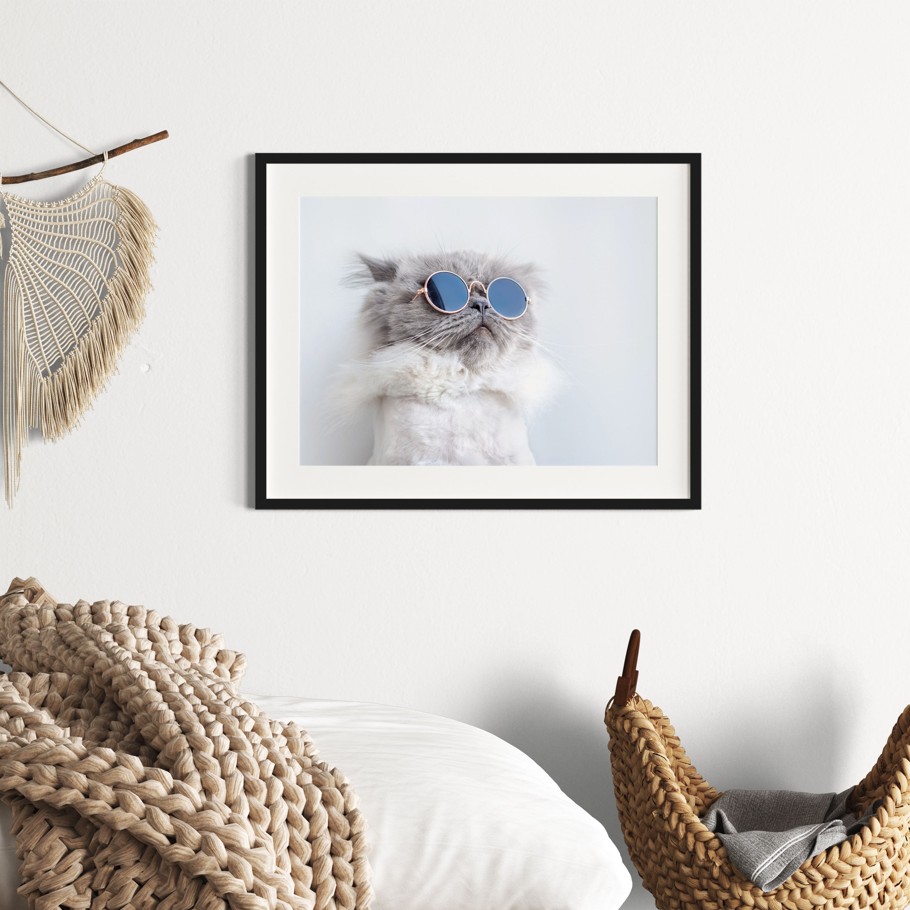 Coole Katze mit runder Sonnenbrille, Gerahmtes Bild