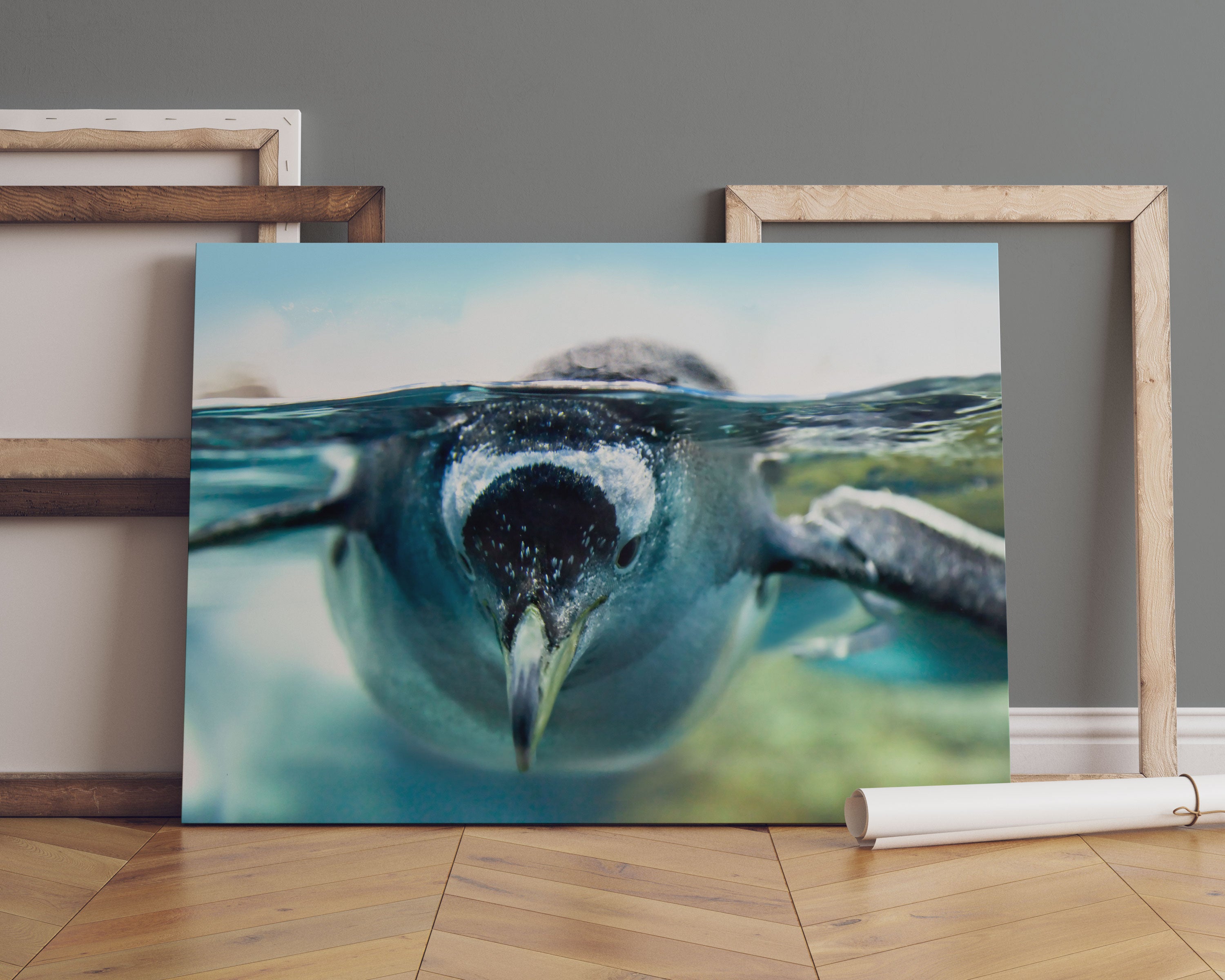 Pinguin im Wasser Leinwandbild Sofa