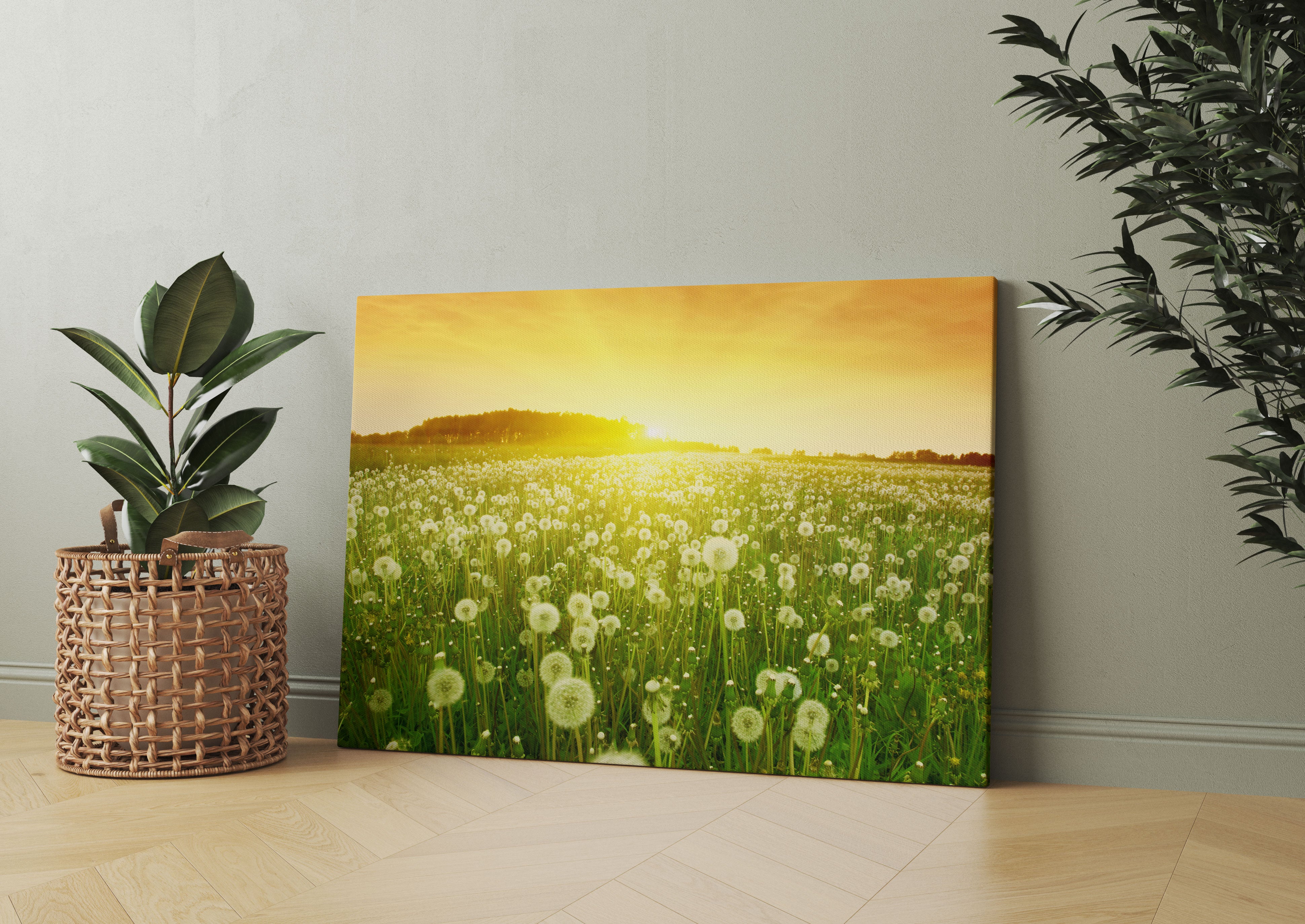 Pusteblumen Sonnenuntergang Leinwandbild Wohnzimmer