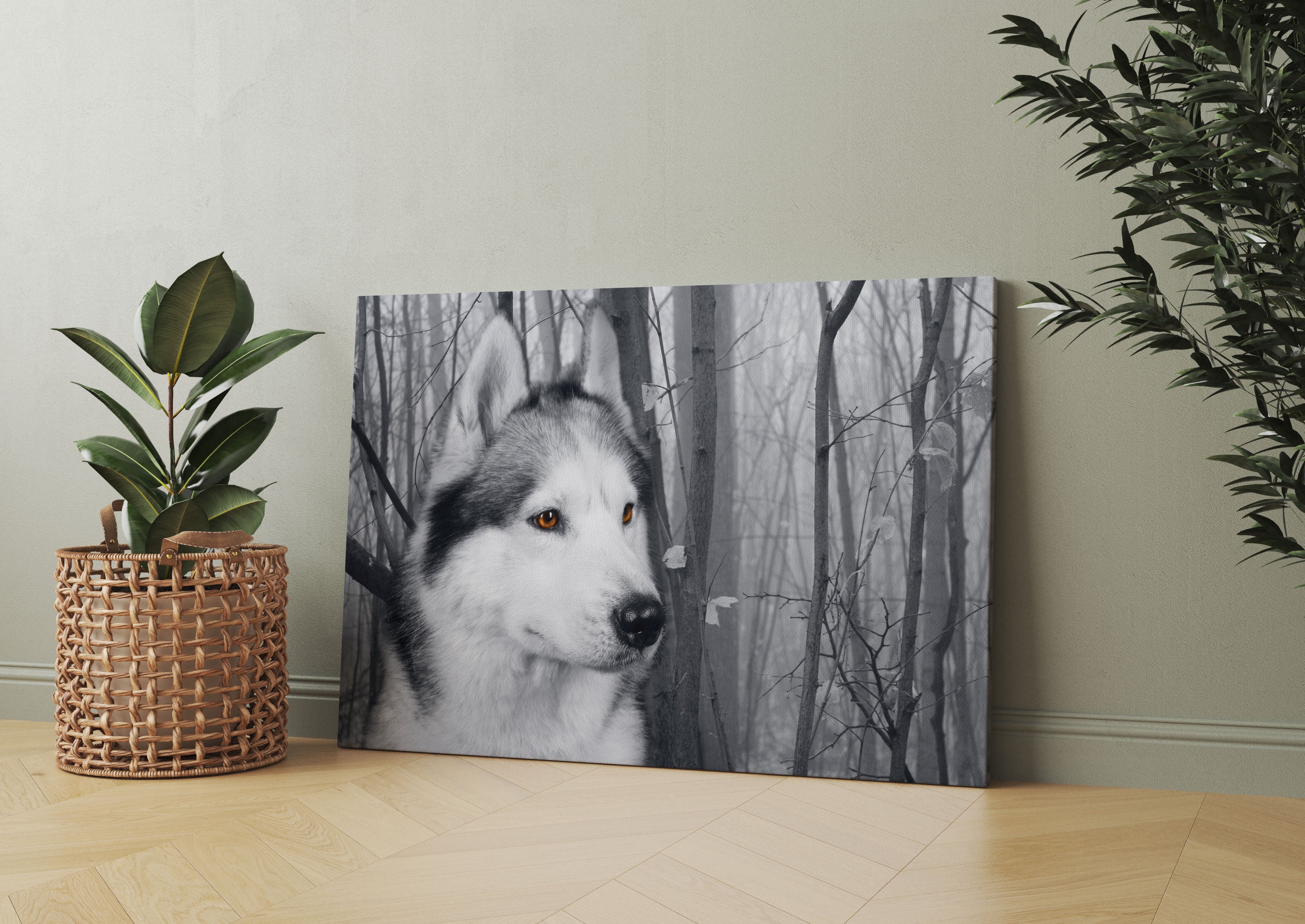 Wachsamer Husky Leinwandbild Wohnzimmer