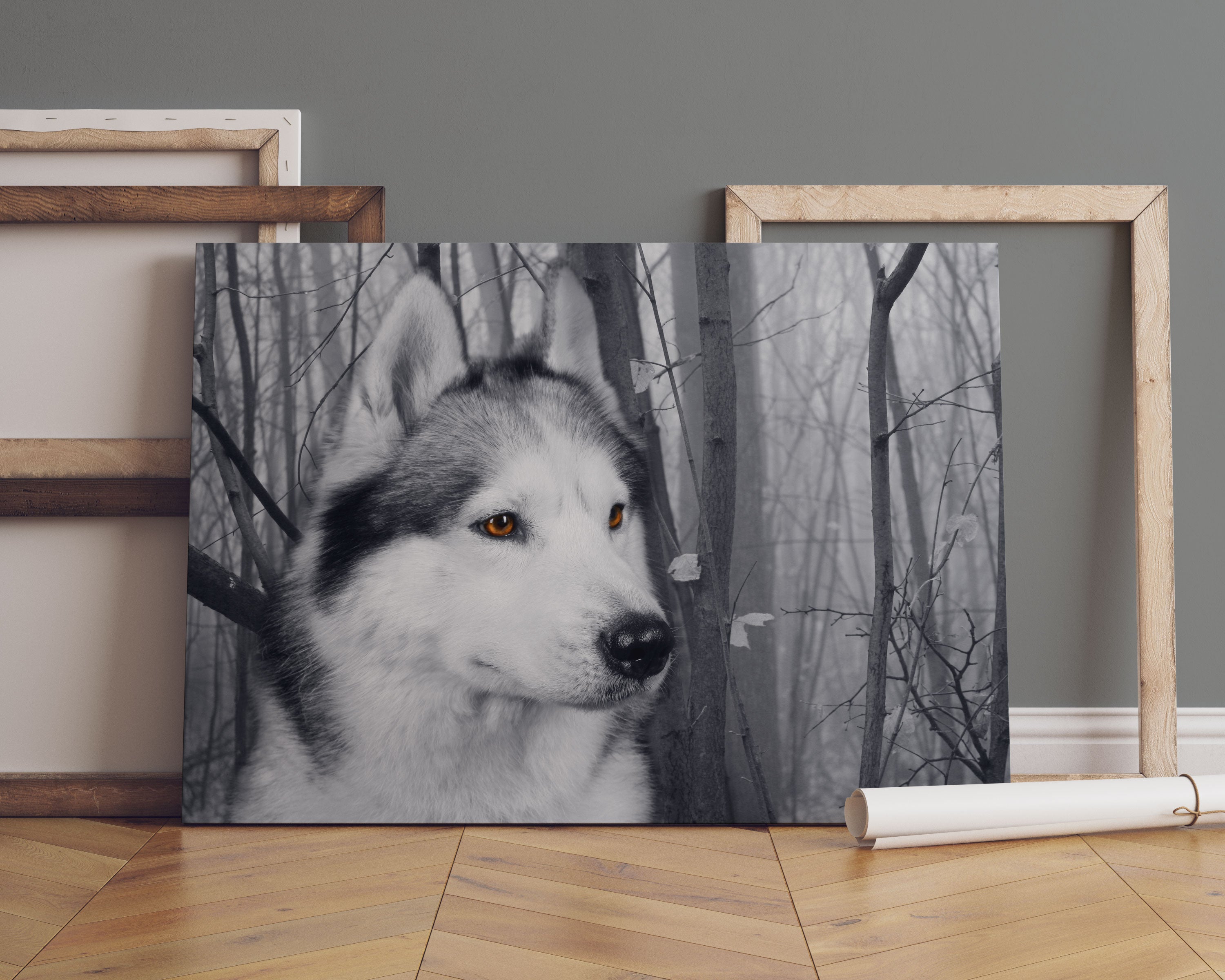 Wachsamer Husky Leinwandbild Sofa