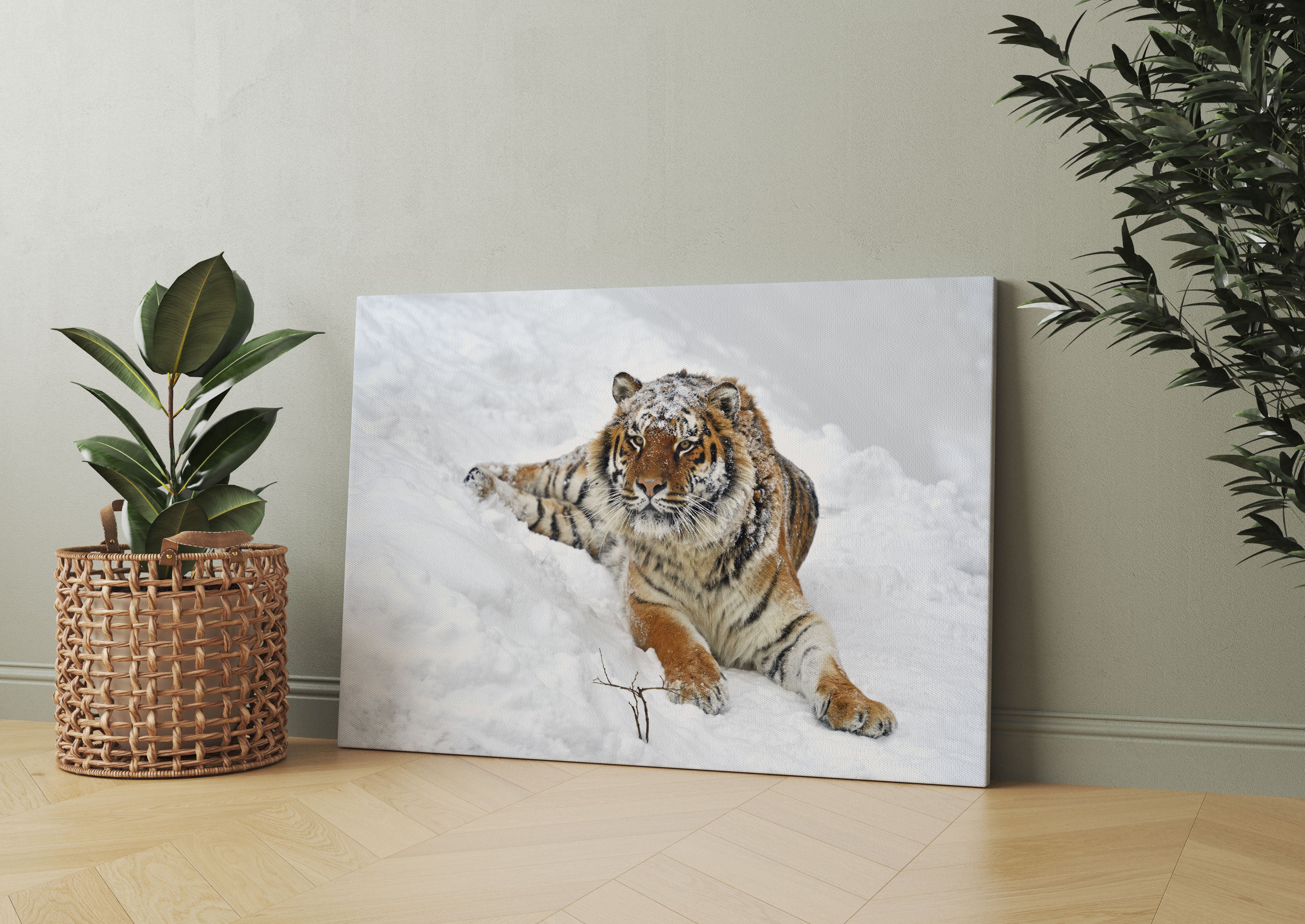 Amur Tiger im Schnee Leinwandbild Wohnzimmer