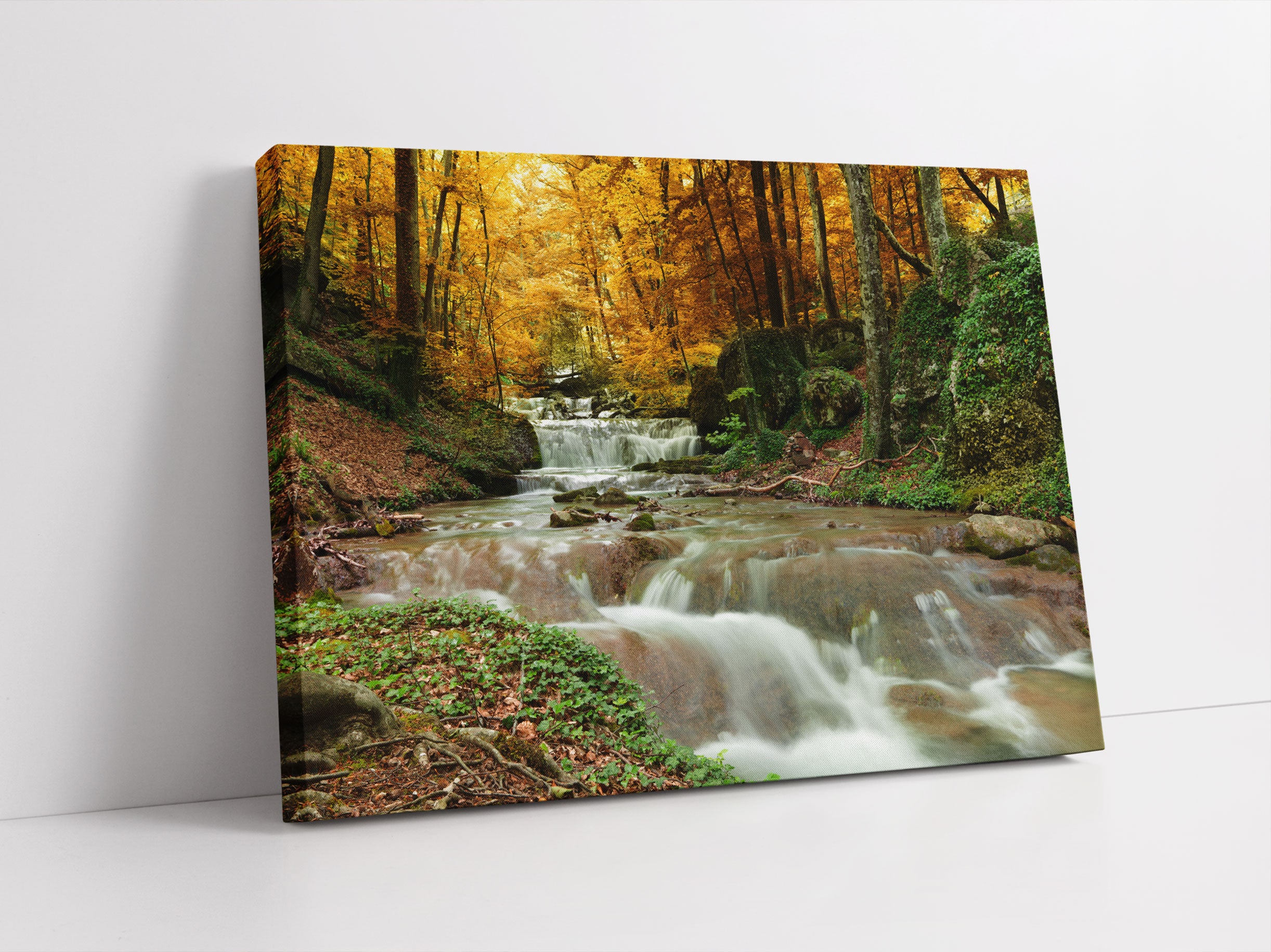 Waldbach im Herbst Leinwandbild Studio