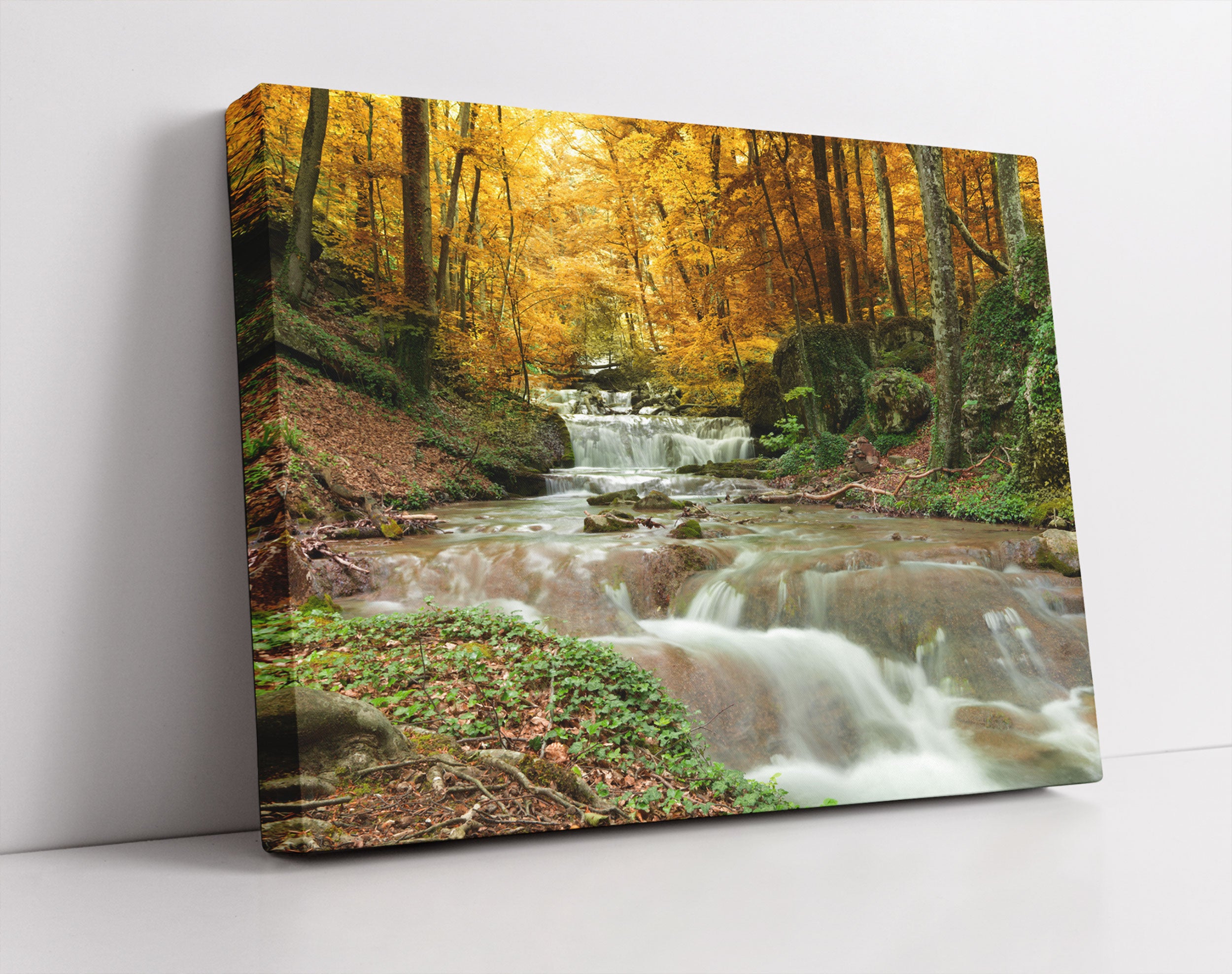 Waldbach im Herbst - Leinwandbild