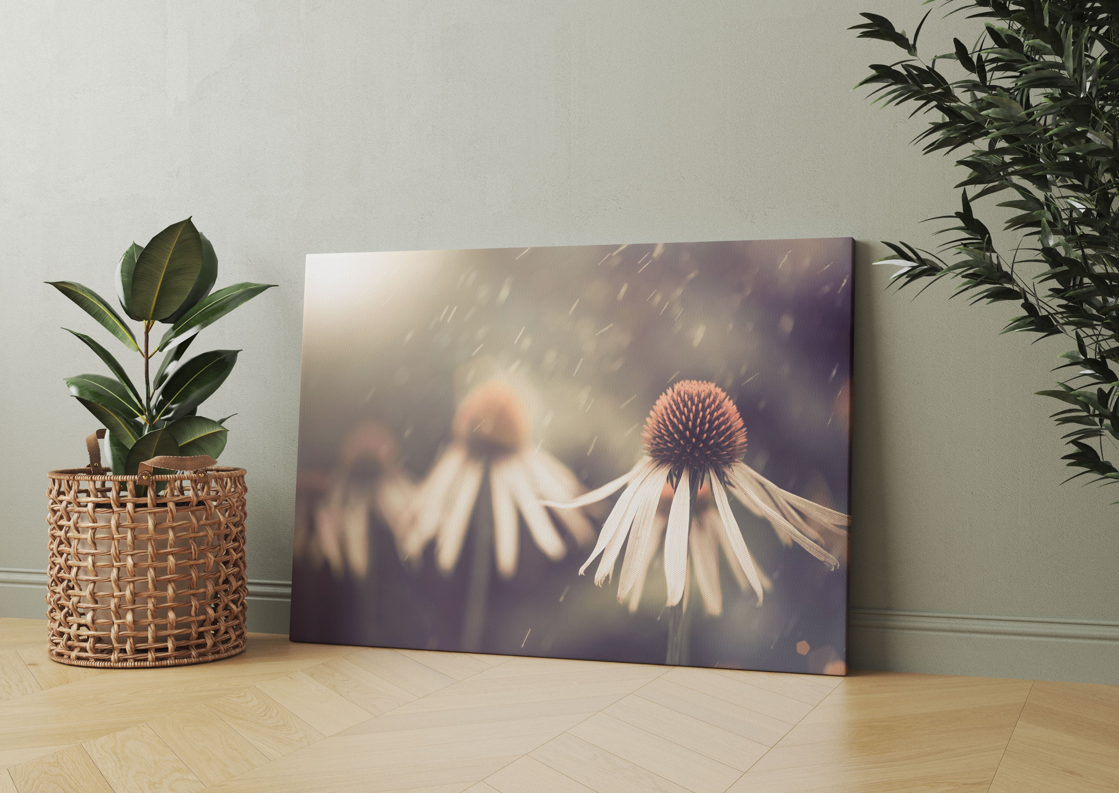 Blumen im Regen Leinwandbild Wohnzimmer