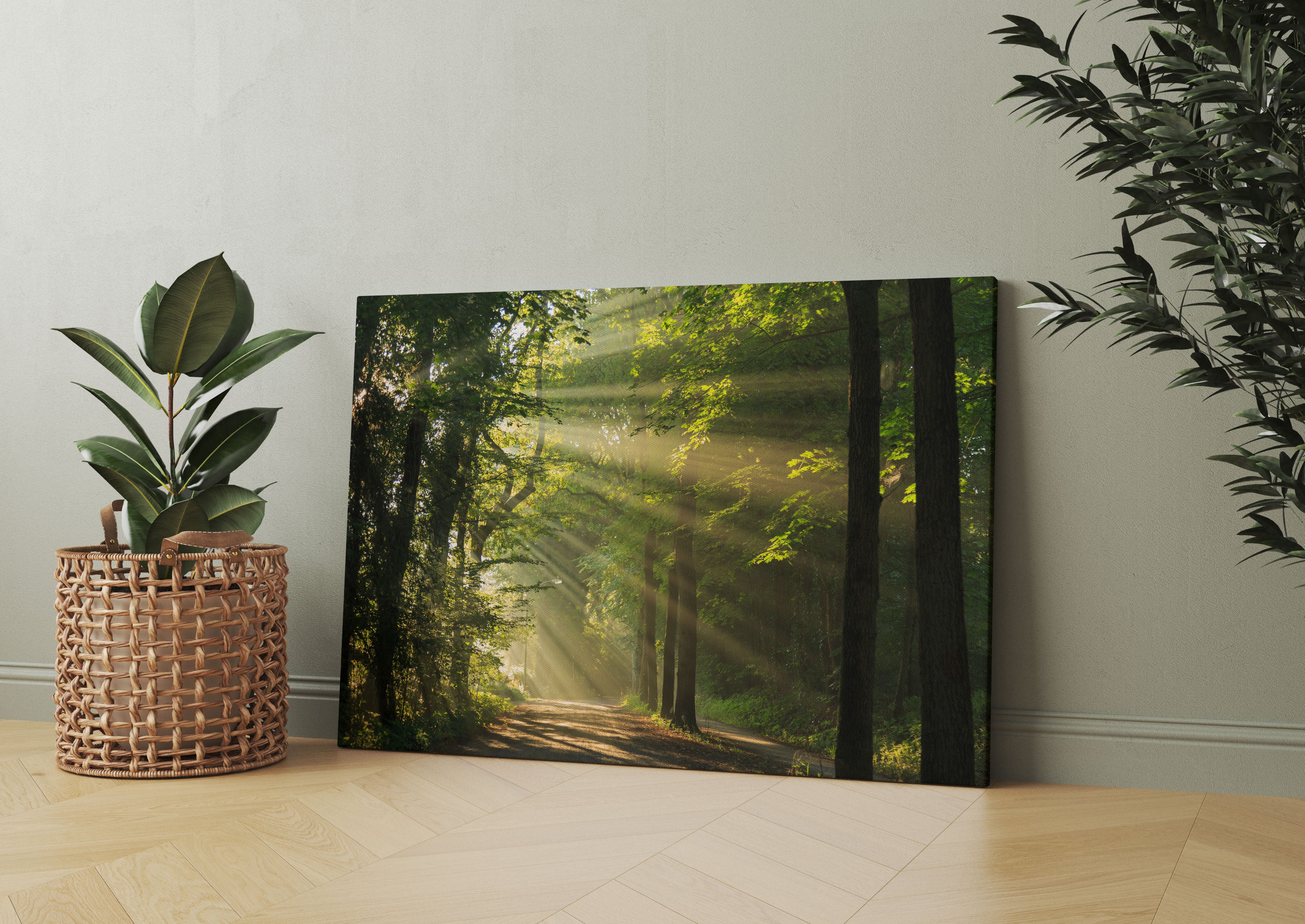 Waldweg im Frühling Leinwandbild Wohnzimmer