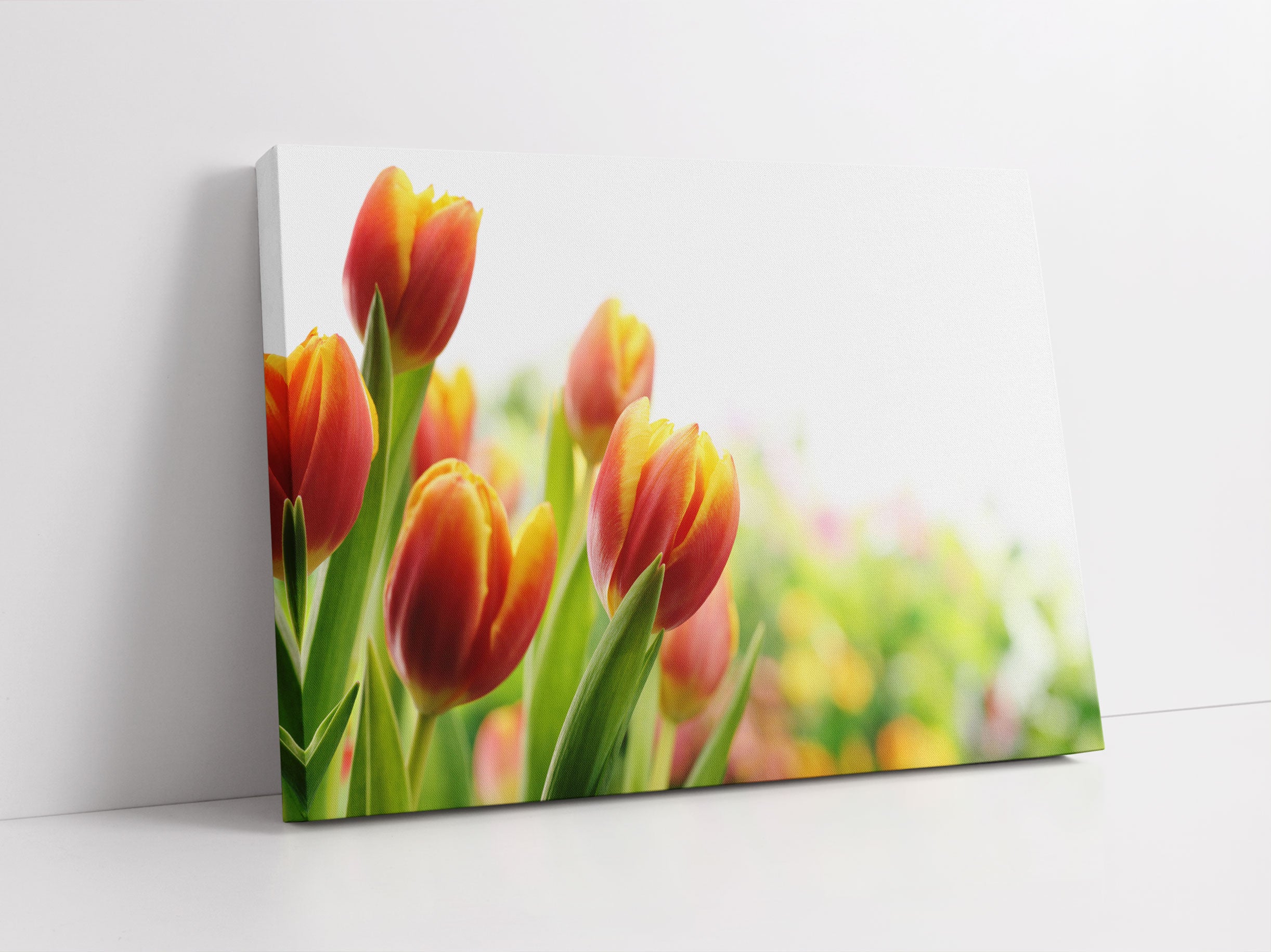 Bunte Tulpenwiese Leinwandbild Studio