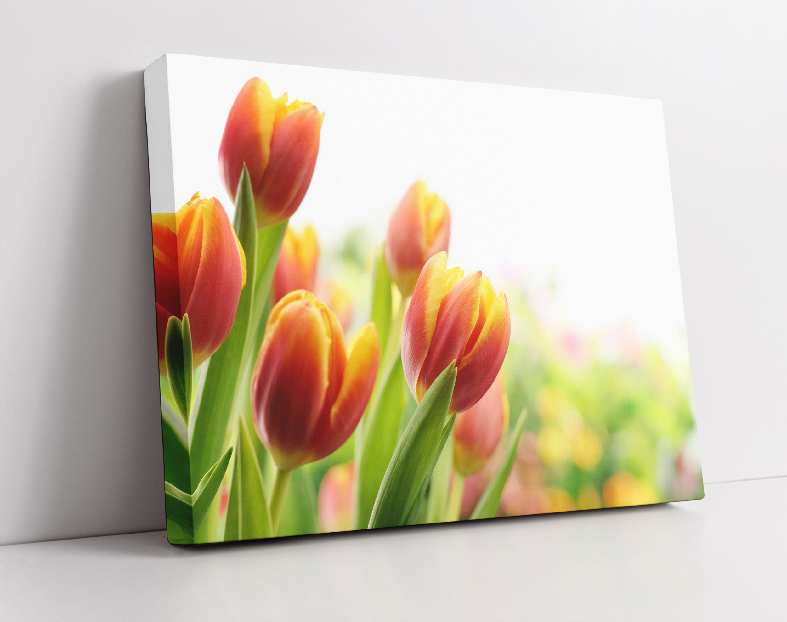 Bunte Tulpenwiese - Leinwandbild