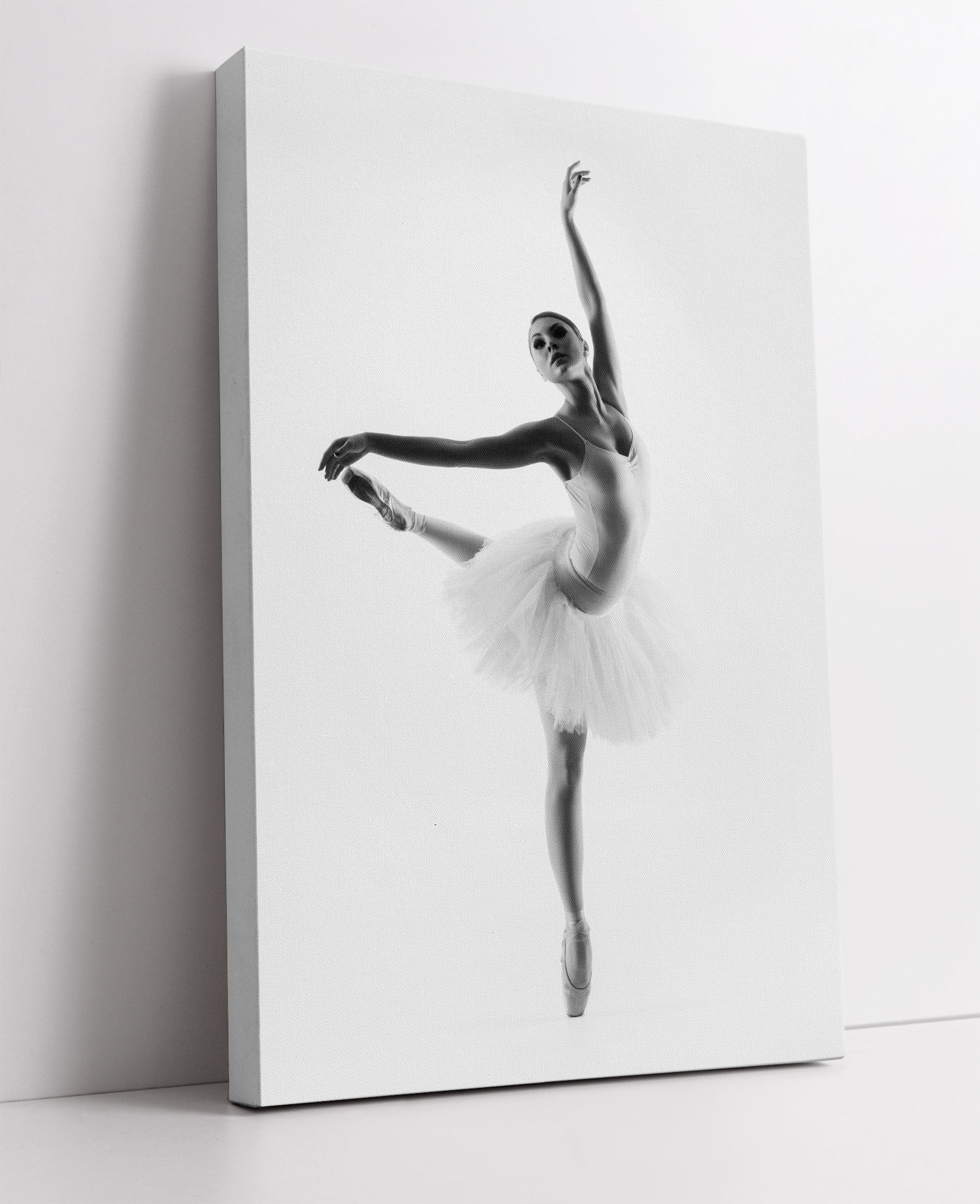 Ästhetische Ballerina Leinwandbild Studio