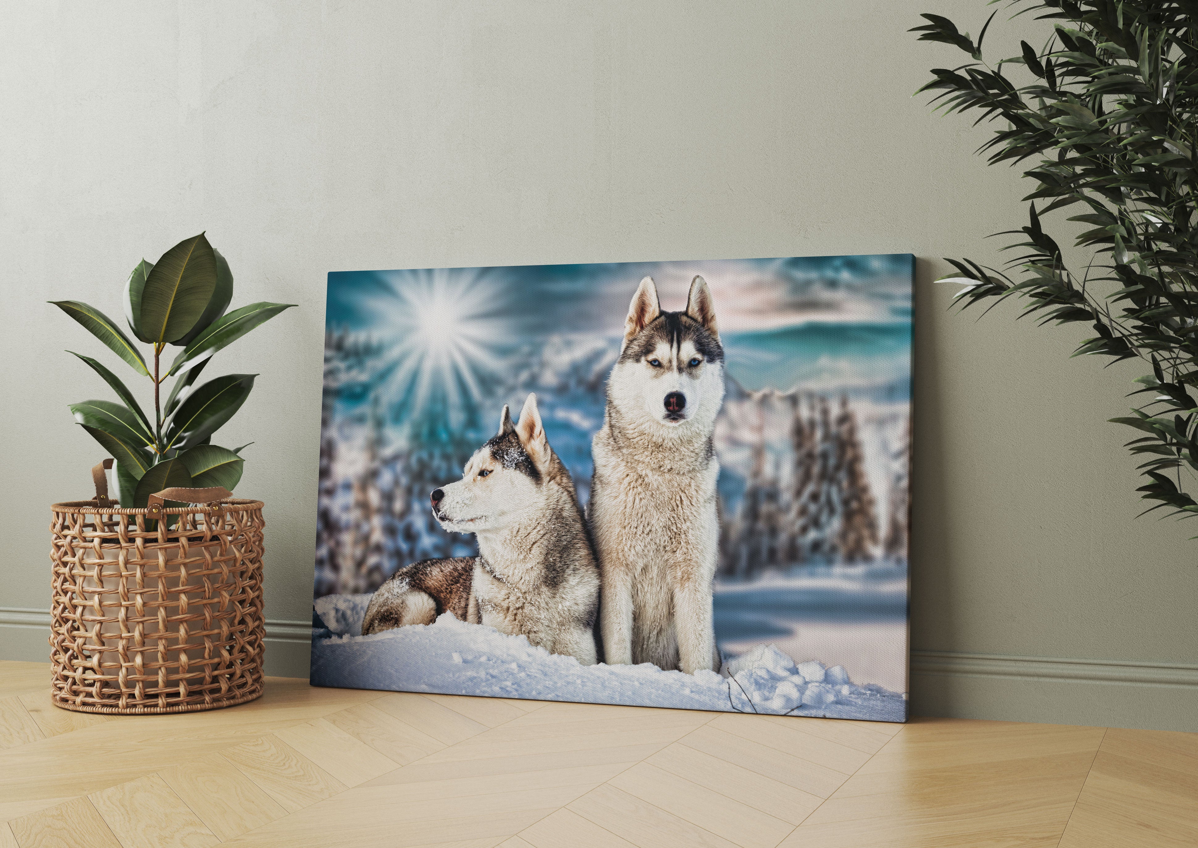 Zwei wilde Huskies Leinwandbild Wohnzimmer