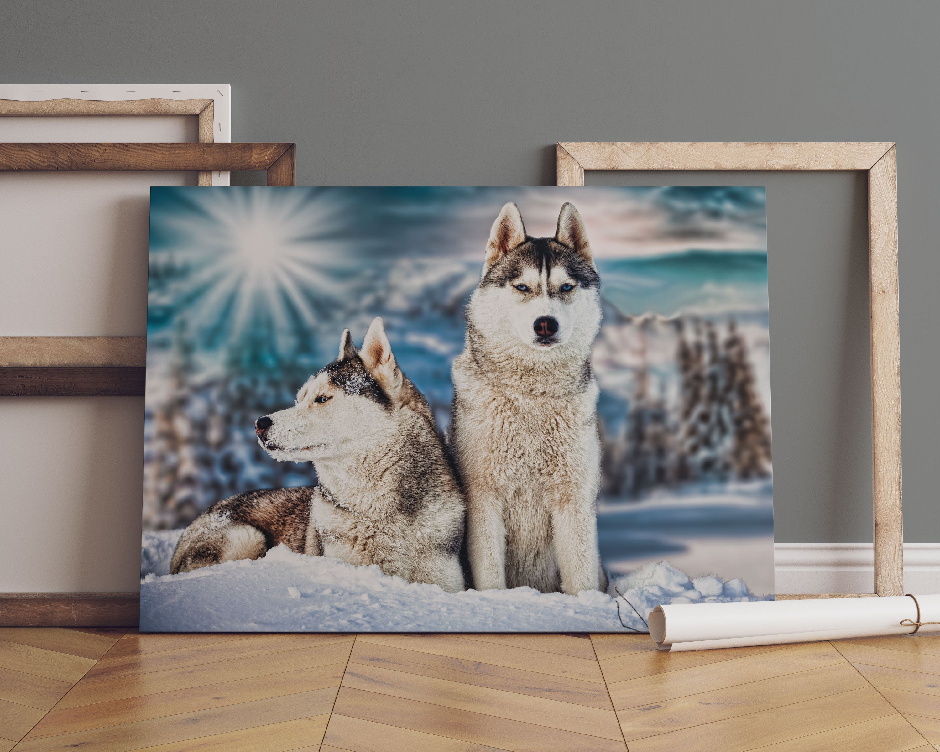 Zwei wilde Huskies Leinwandbild Sofa