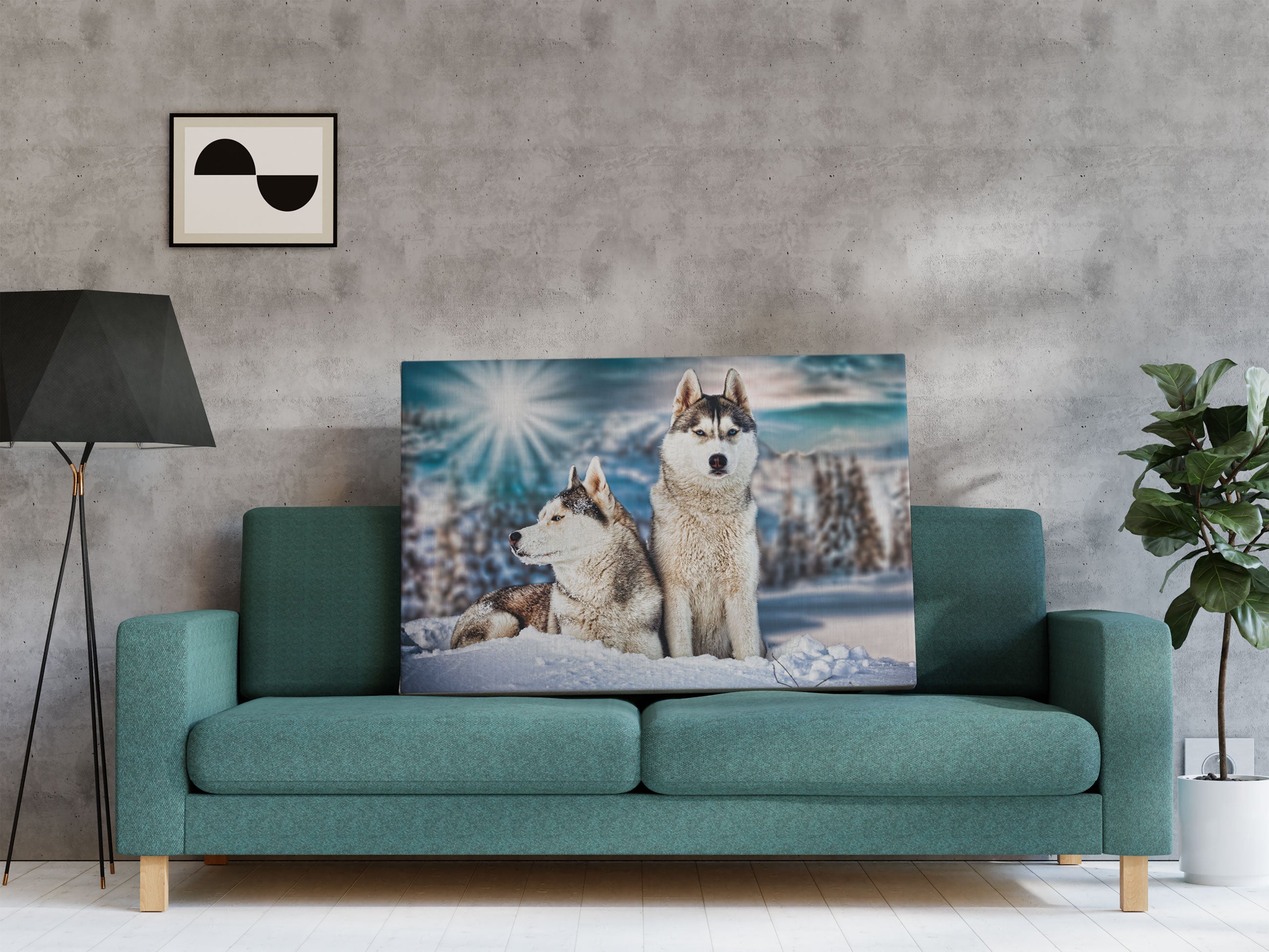 Zwei wilde Huskies Leinwandbild Regal