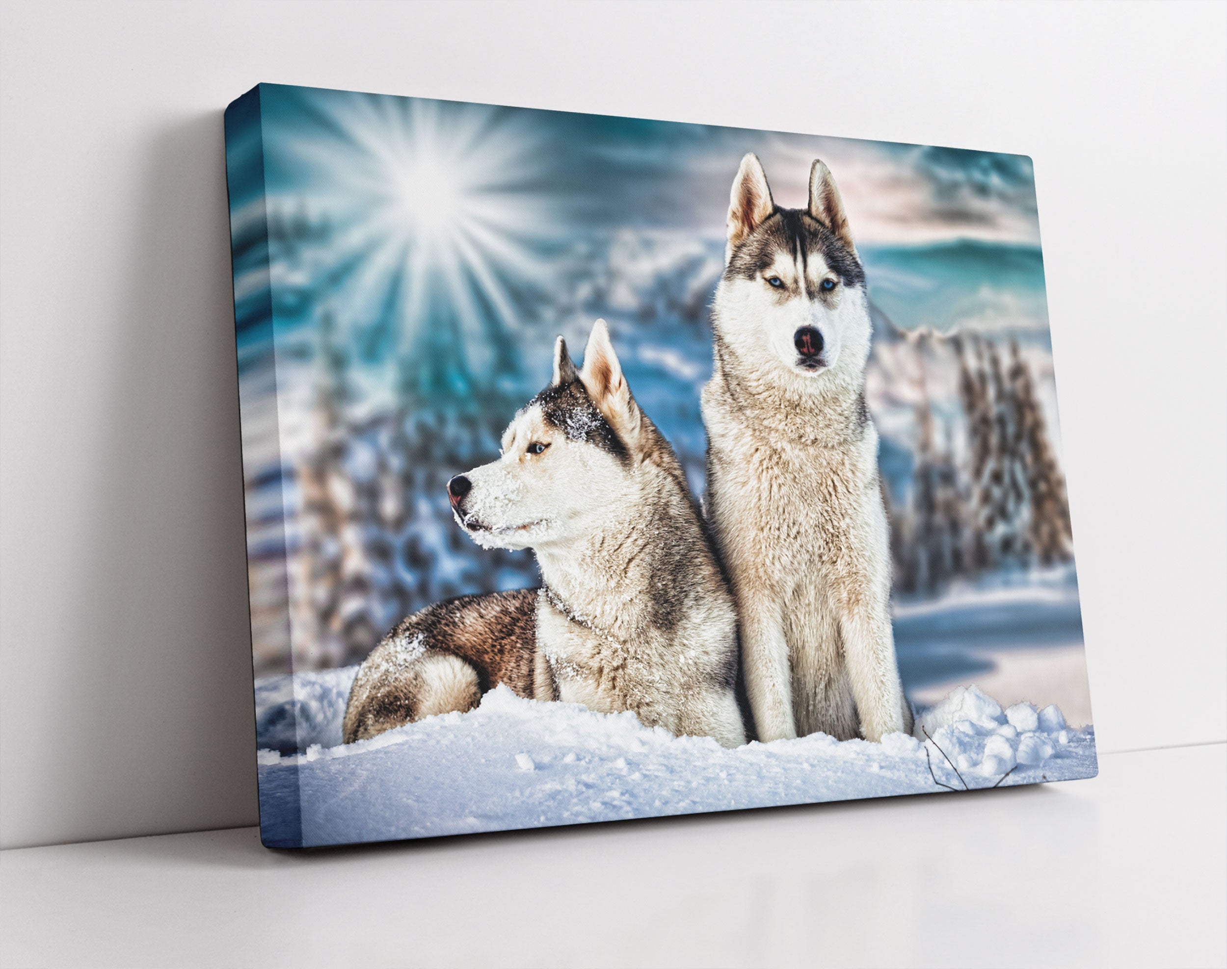 Zwei wilde Huskies - Leinwandbild