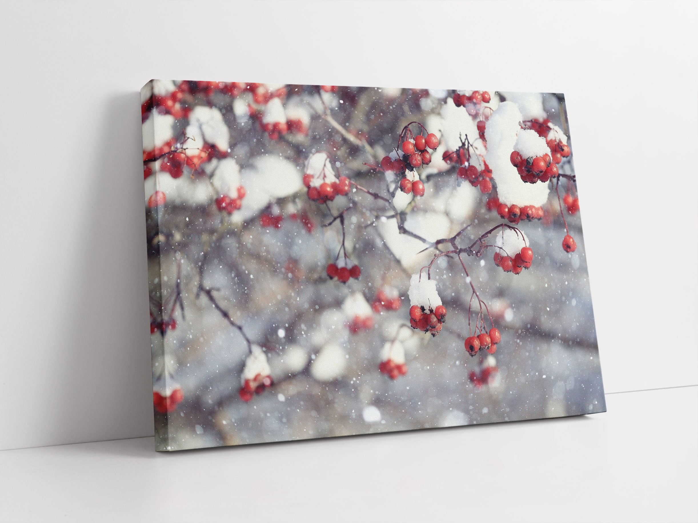 Vogelbeeren mit Schnee bedeckt Leinwandbild Studio