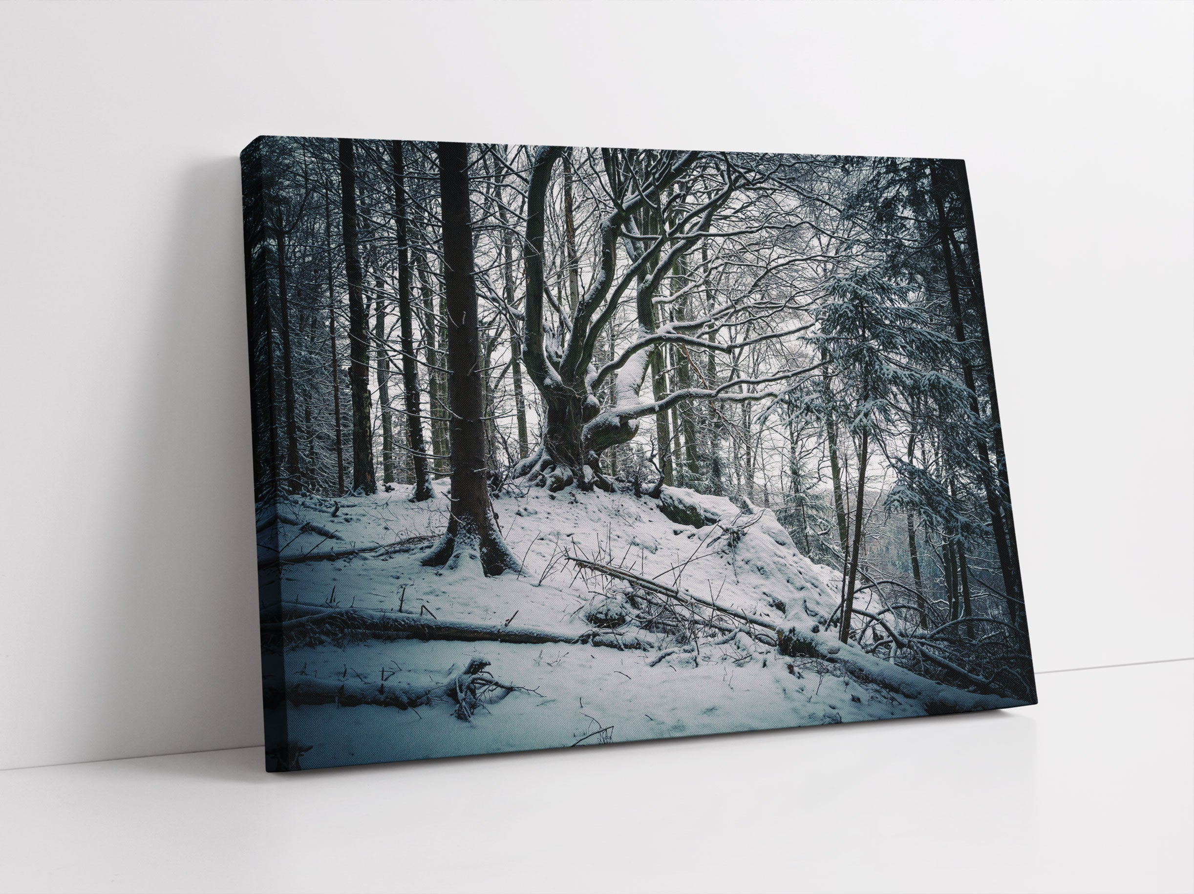 Wald mit Schnee bedeckt Leinwandbild Studio