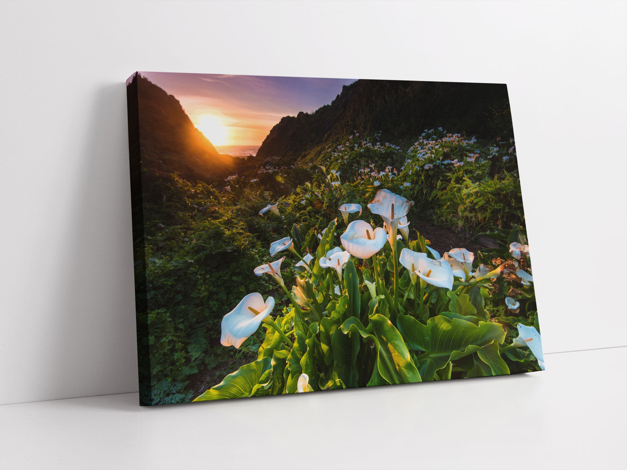 Blumenwiese in den Bergen Leinwandbild Studio