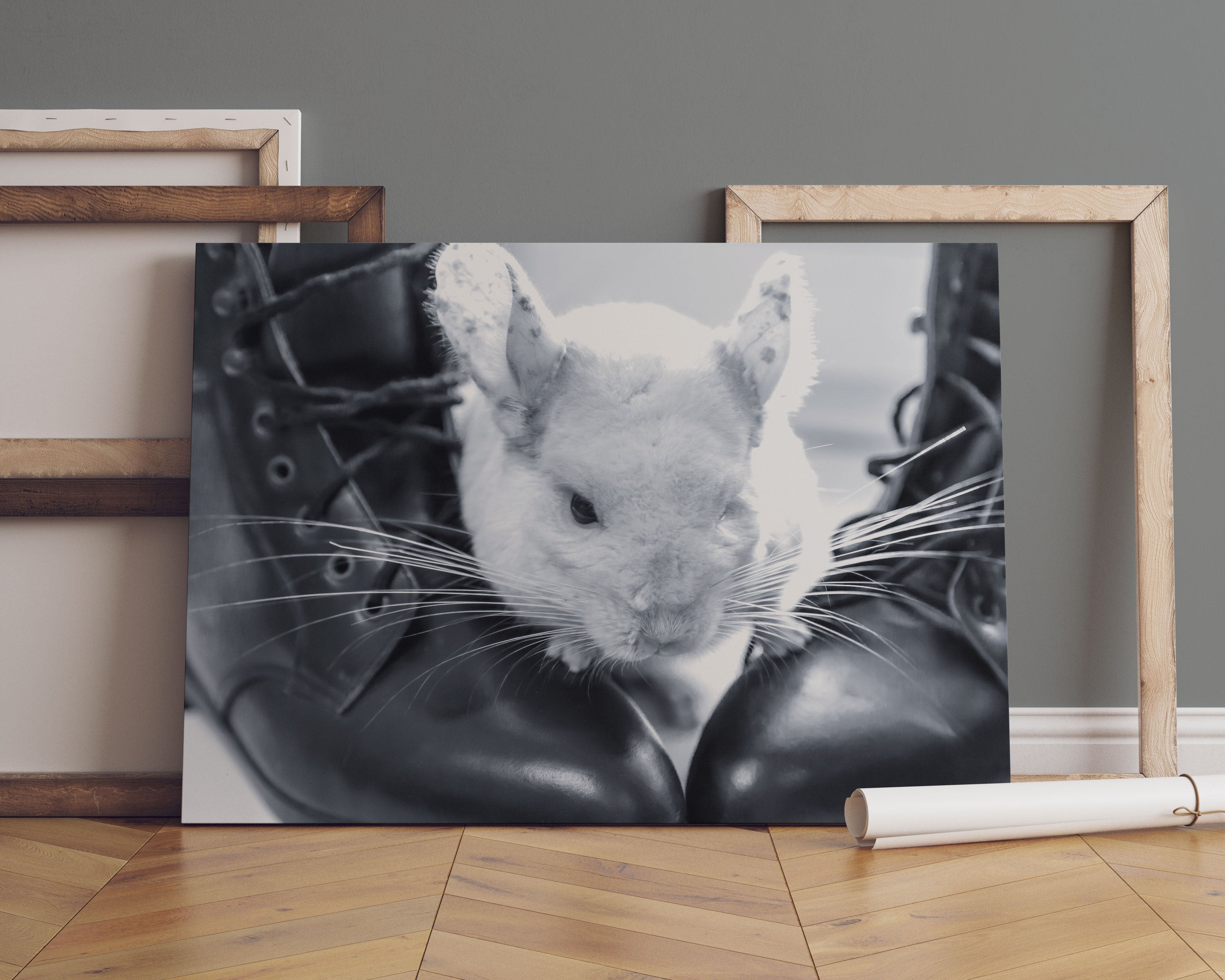 Chinchilla zwischen Schuhen Leinwandbild Sofa