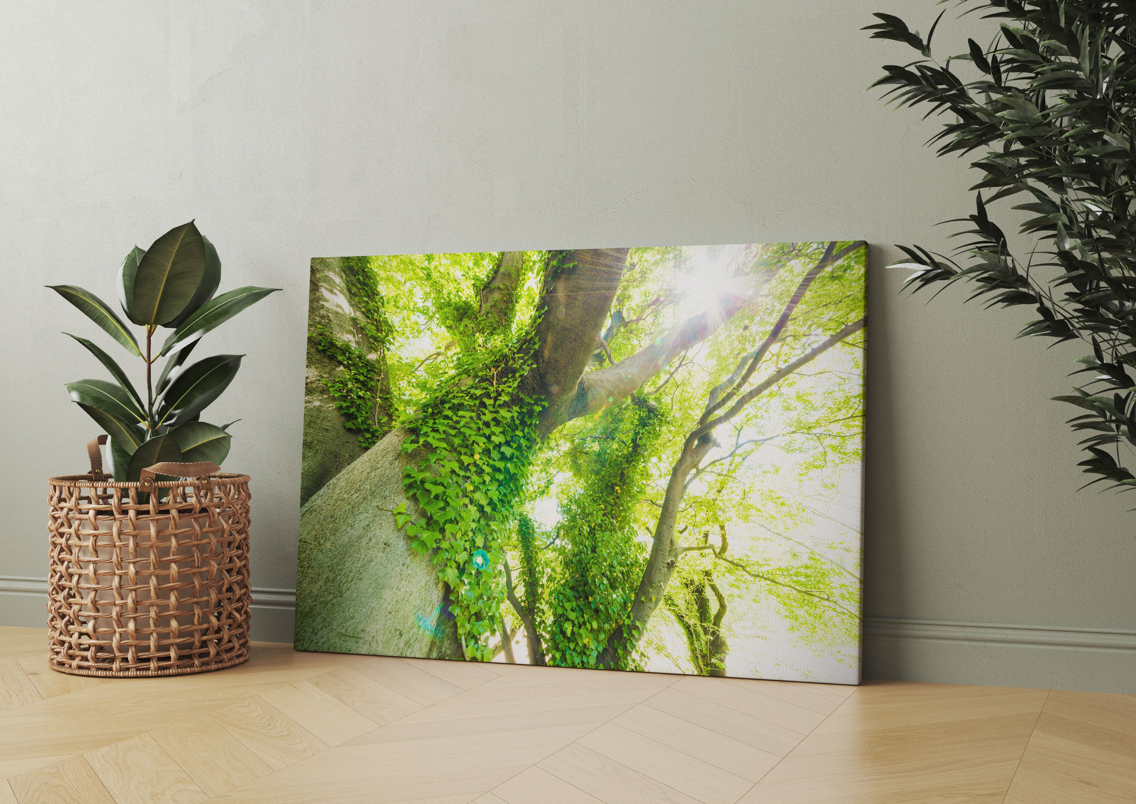 Baum im Sonnenlicht Leinwandbild Wohnzimmer