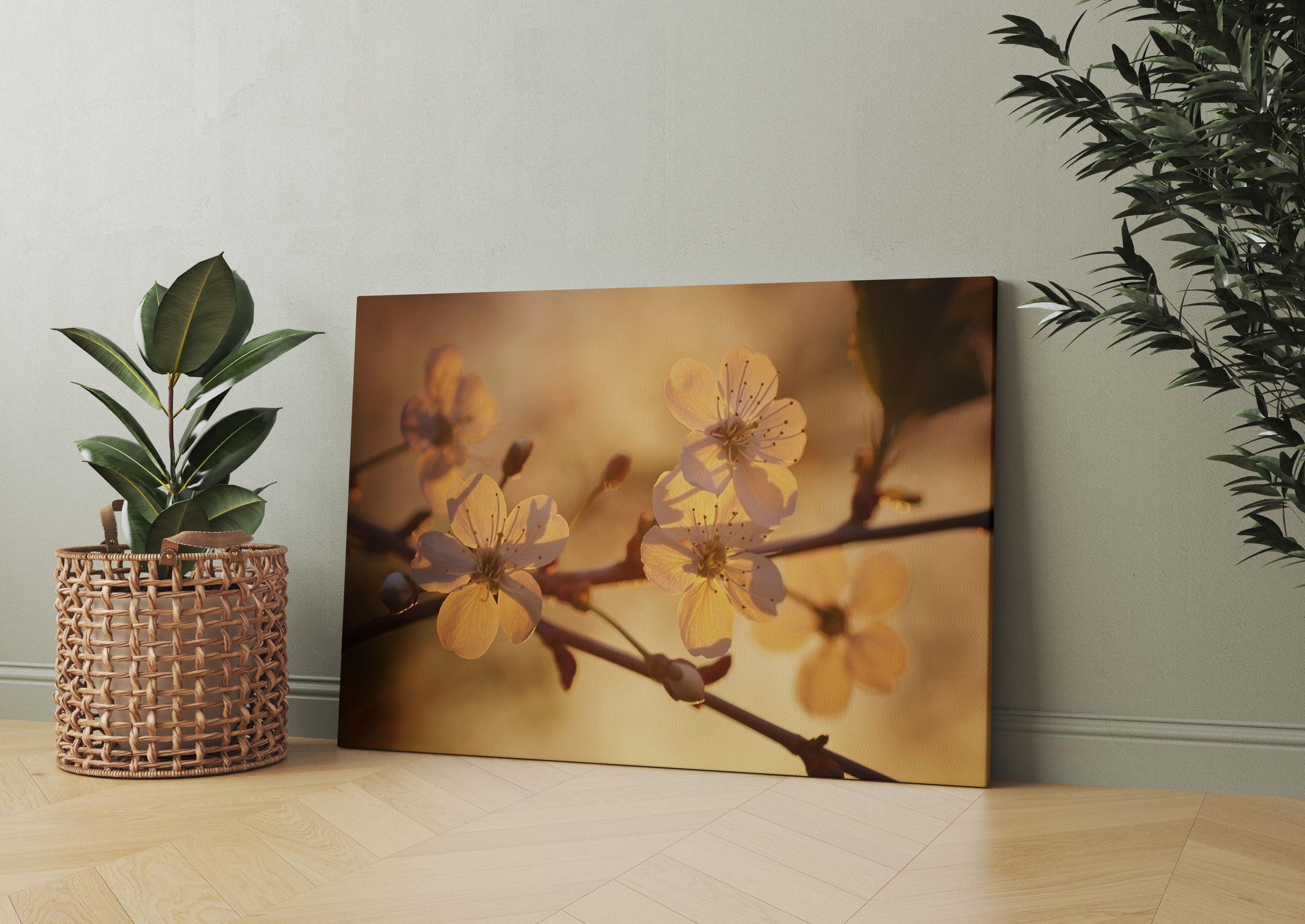 Weiße Blüten im Sonnenlicht Leinwandbild Wohnzimmer