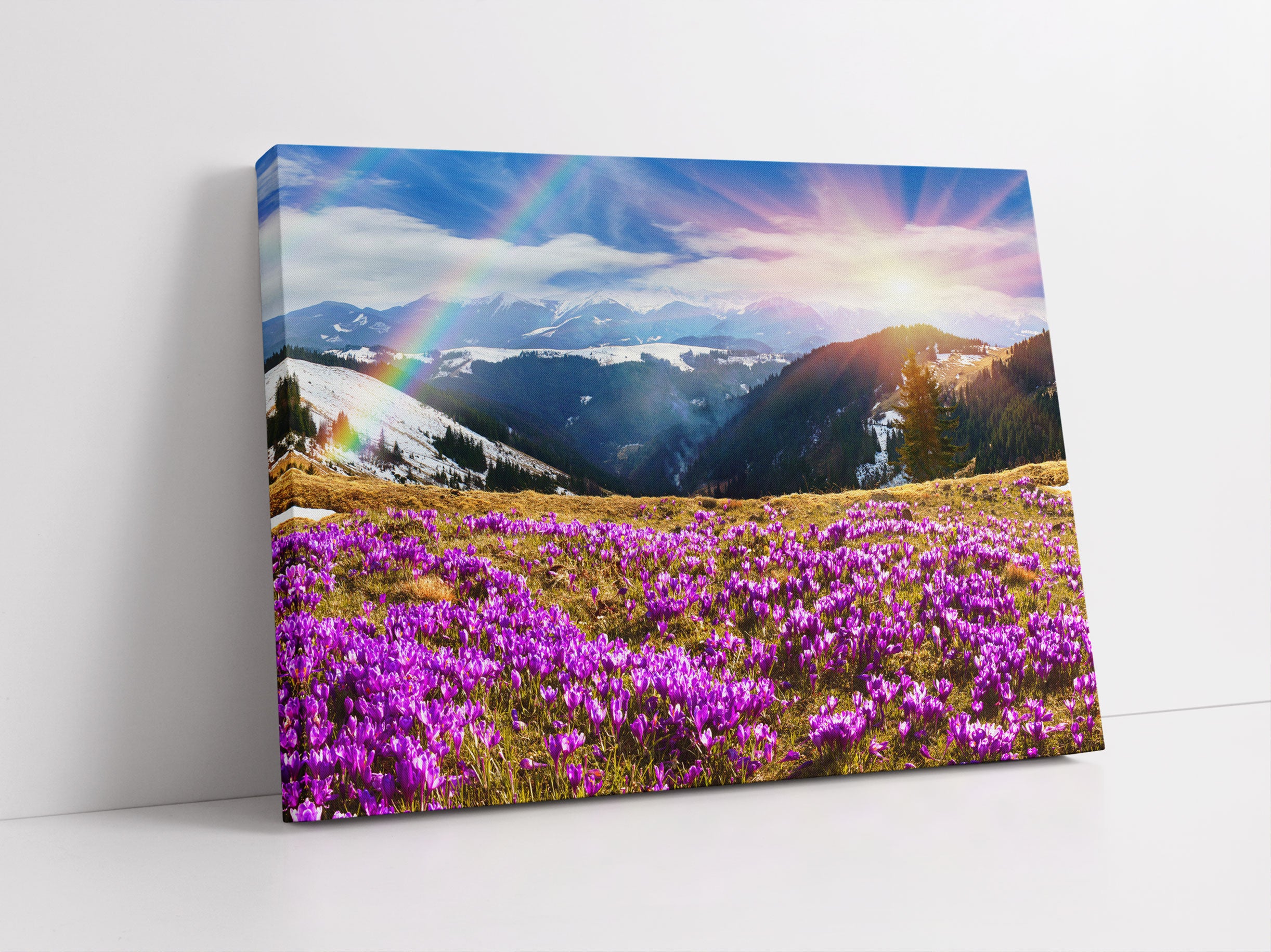 Berge mit Regenbogen Leinwandbild Studio