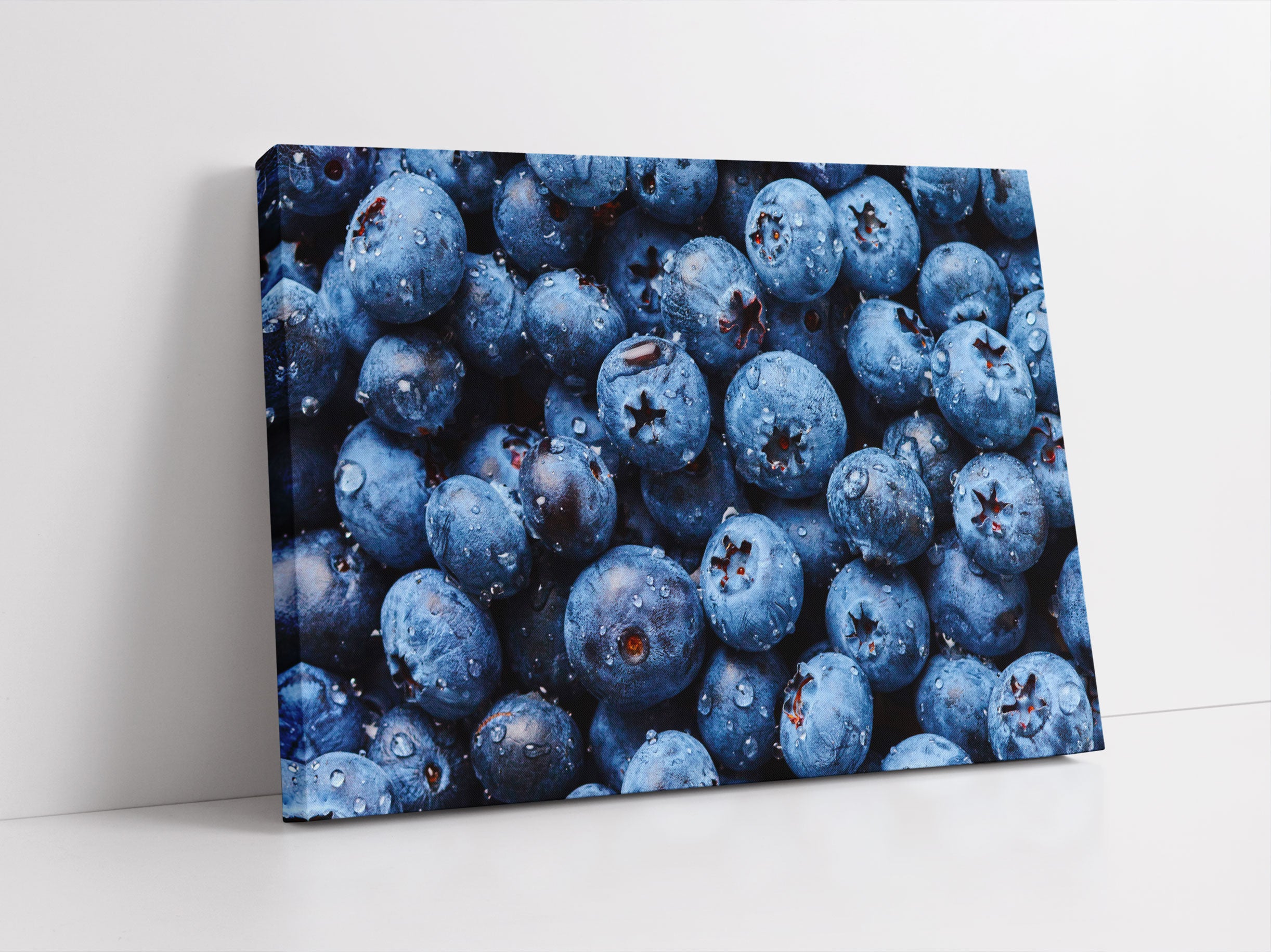 Blaubeeren mit Wassertropfen Leinwandbild Studio