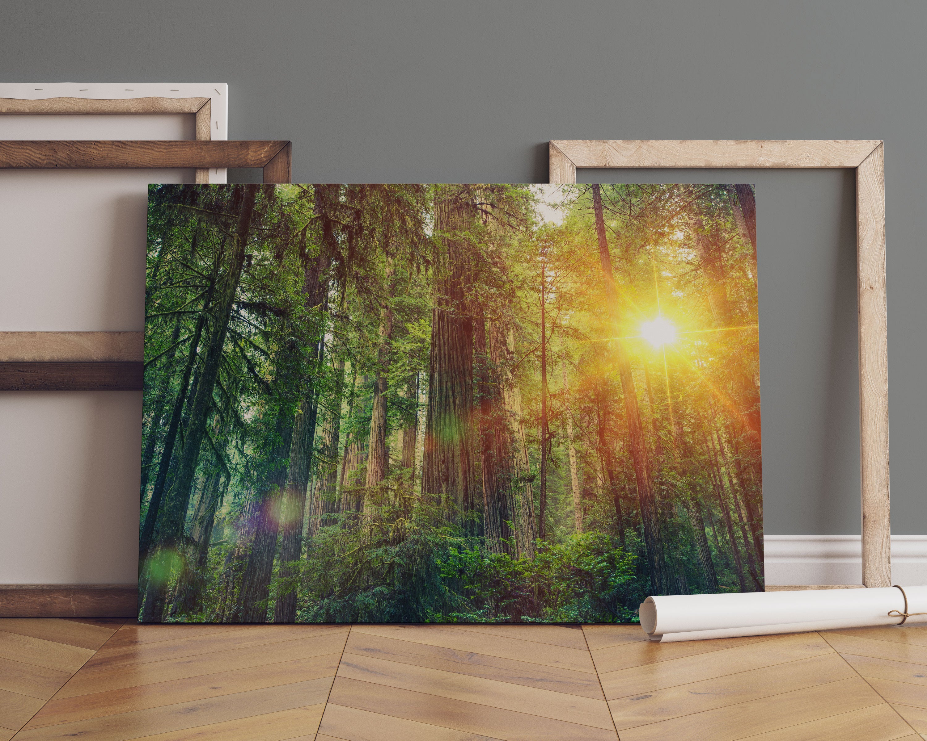 Wald bei Sonnenlicht Leinwandbild Sofa