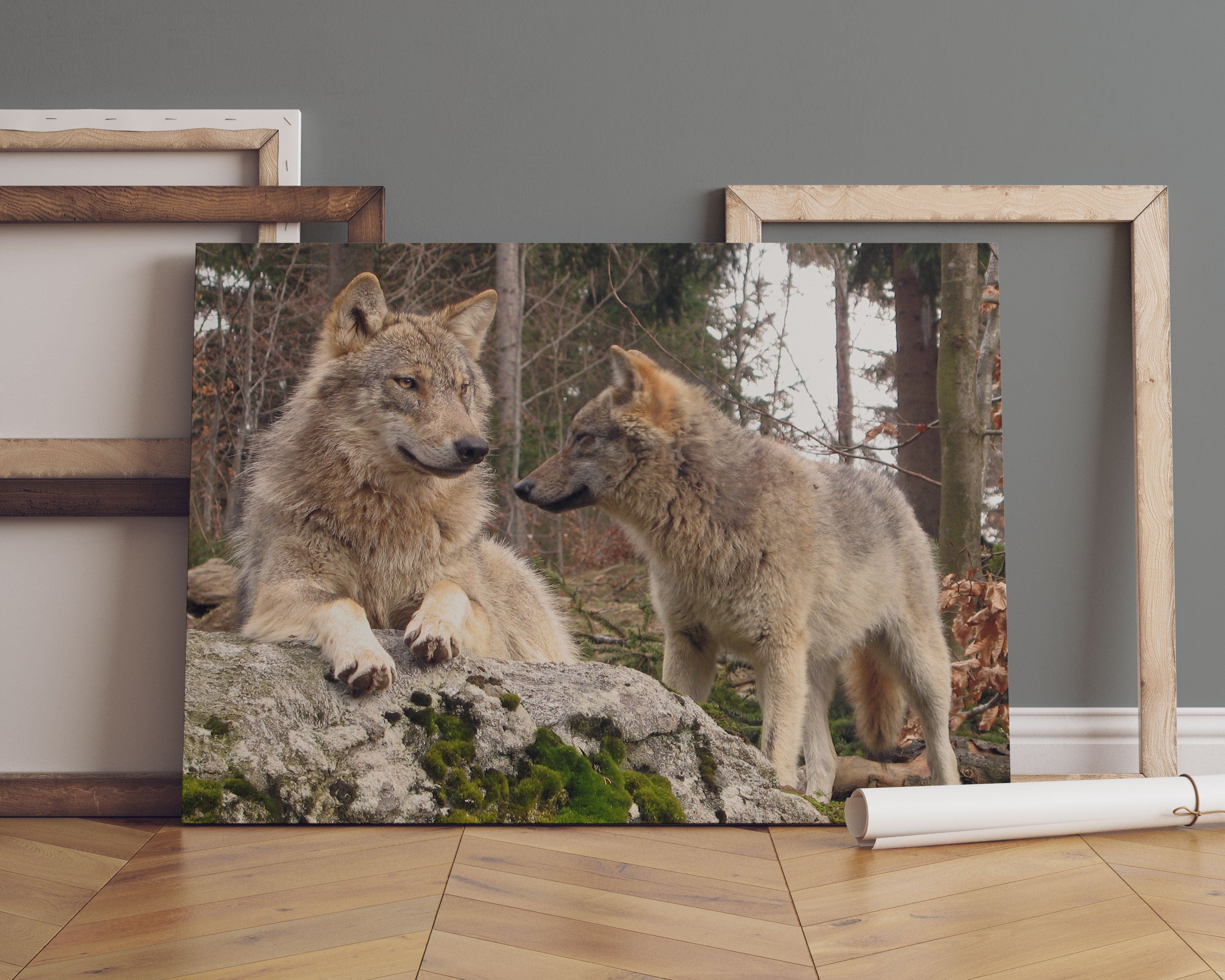 Wölfe im Wald Leinwandbild Sofa