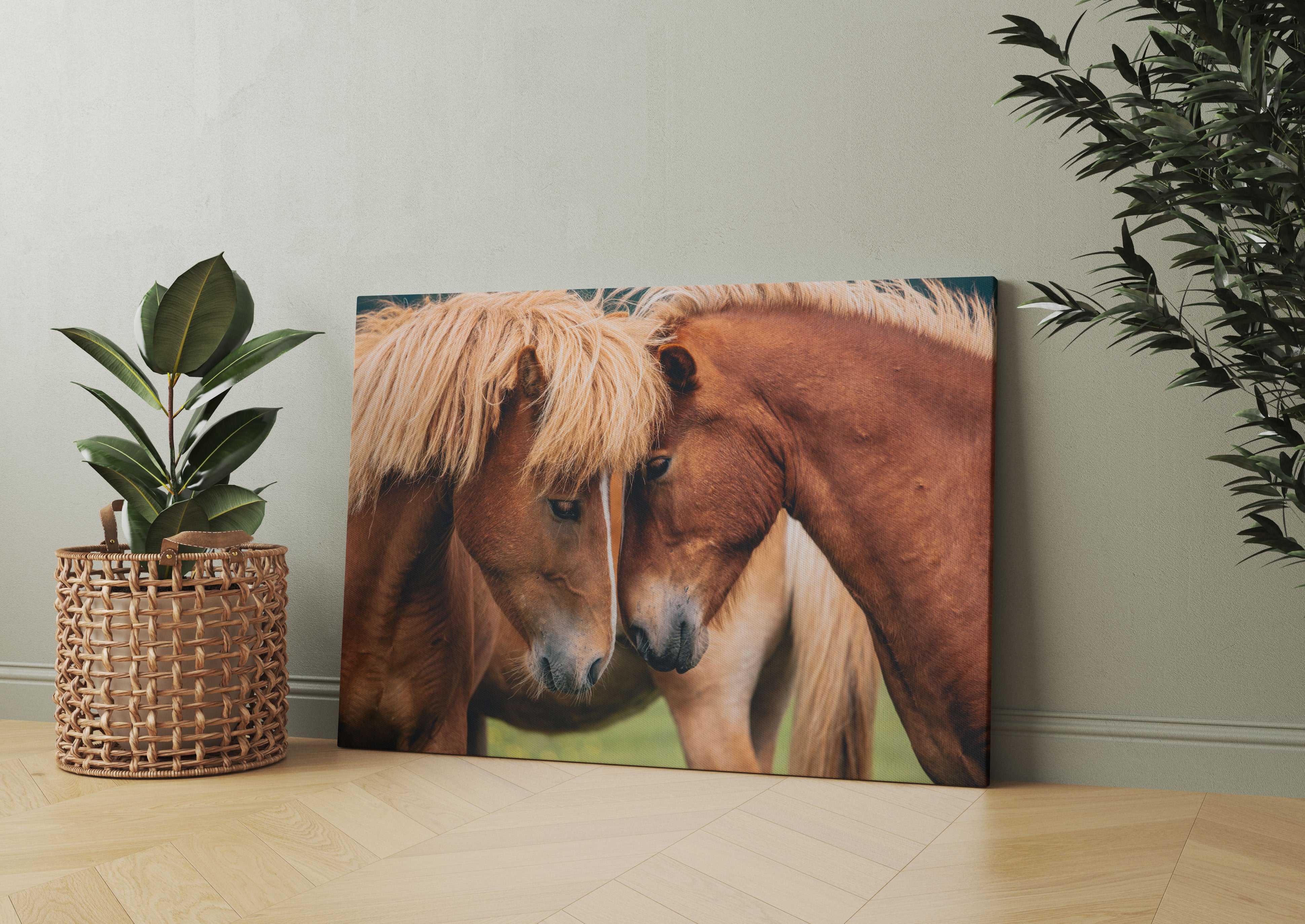 zwei schmusende Pferde Leinwandbild Wohnzimmer