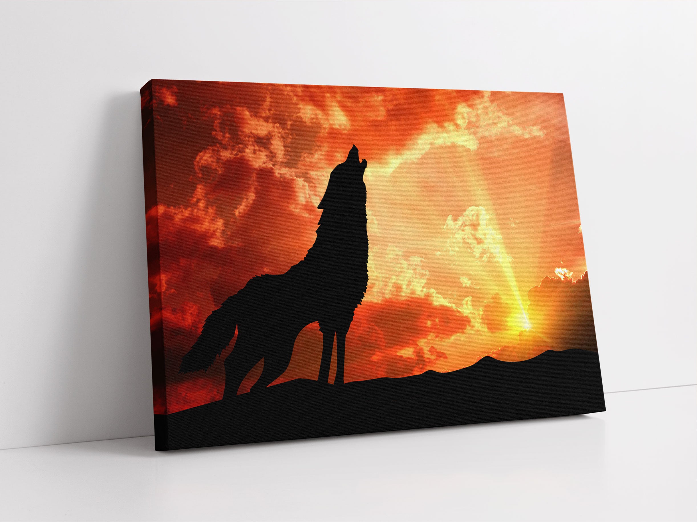 Wolf Heulen Leinwandbild Studio