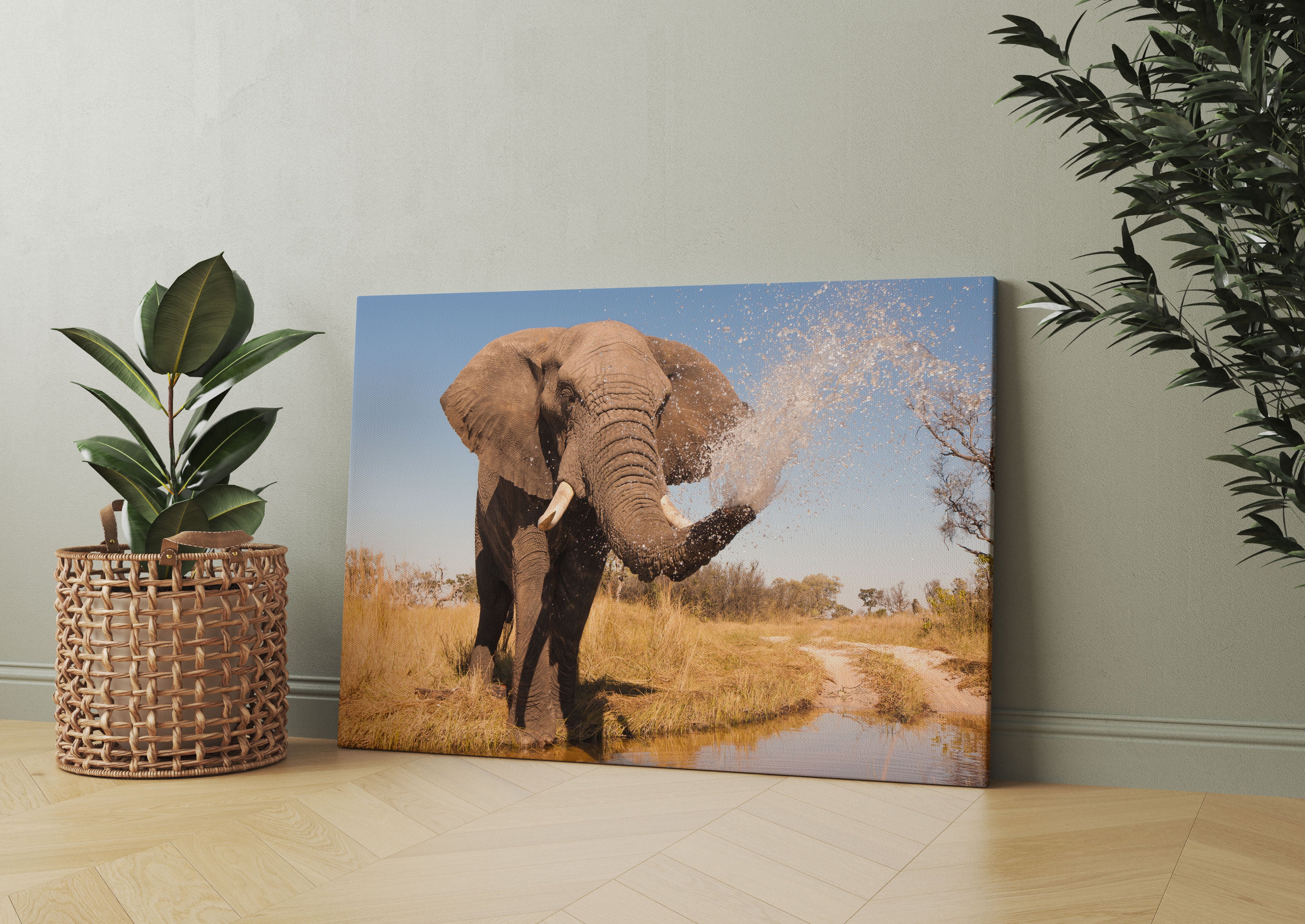 schöner Elefant spritzt mit Wasser Leinwandbild Wohnzimmer