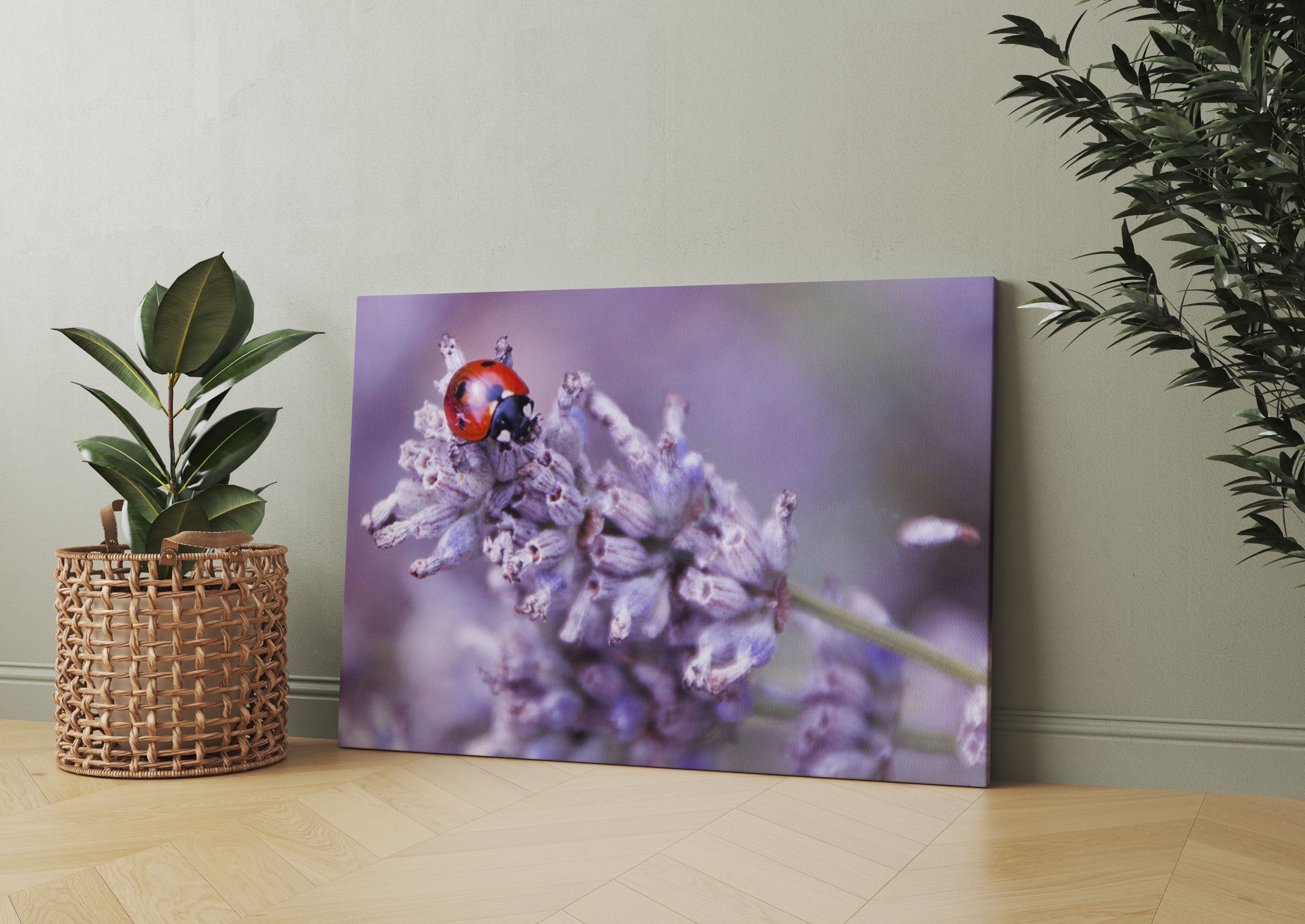 kleiner Marienkäfer auf Lavendel Leinwandbild Wohnzimmer