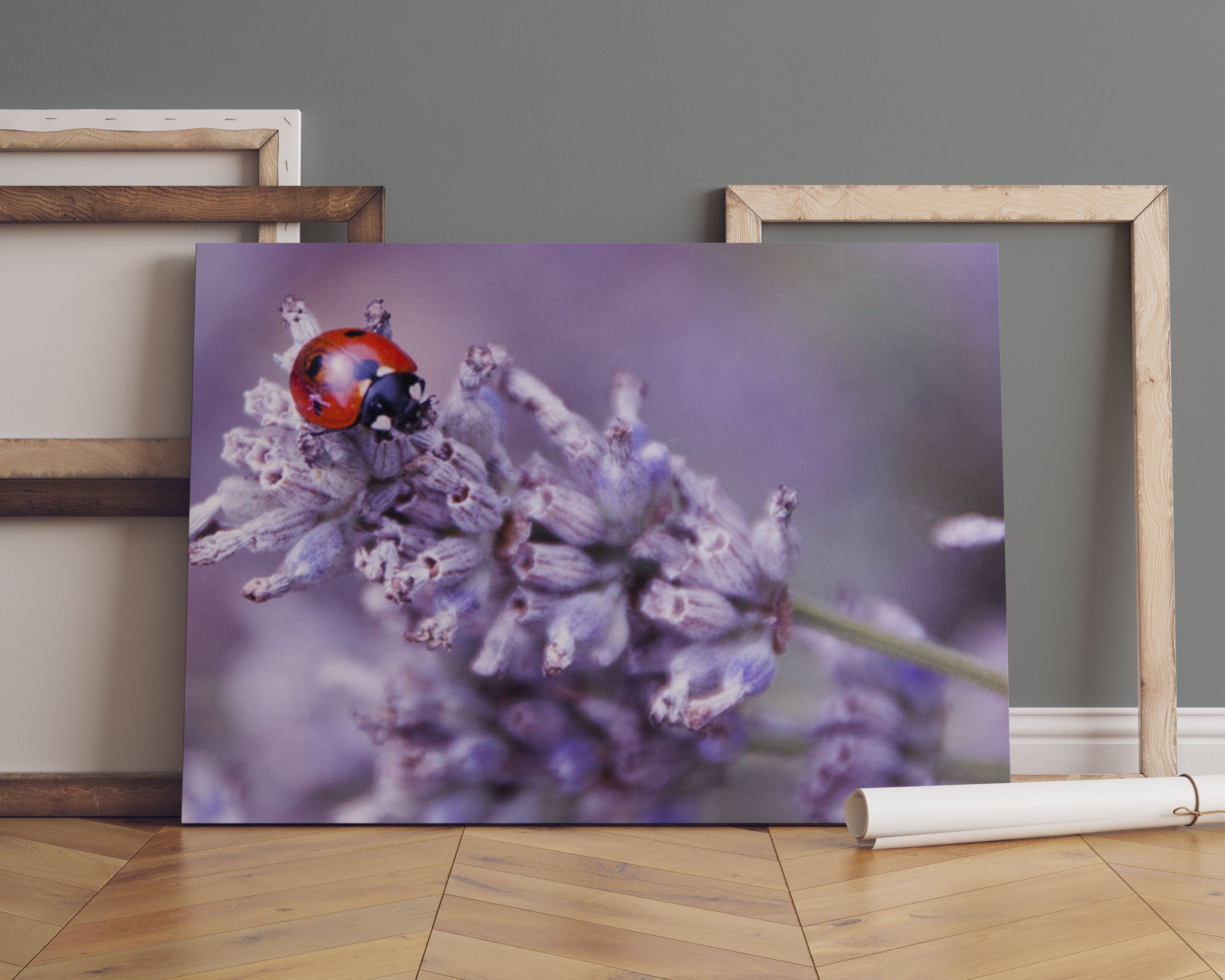 kleiner Marienkäfer auf Lavendel Leinwandbild Sofa