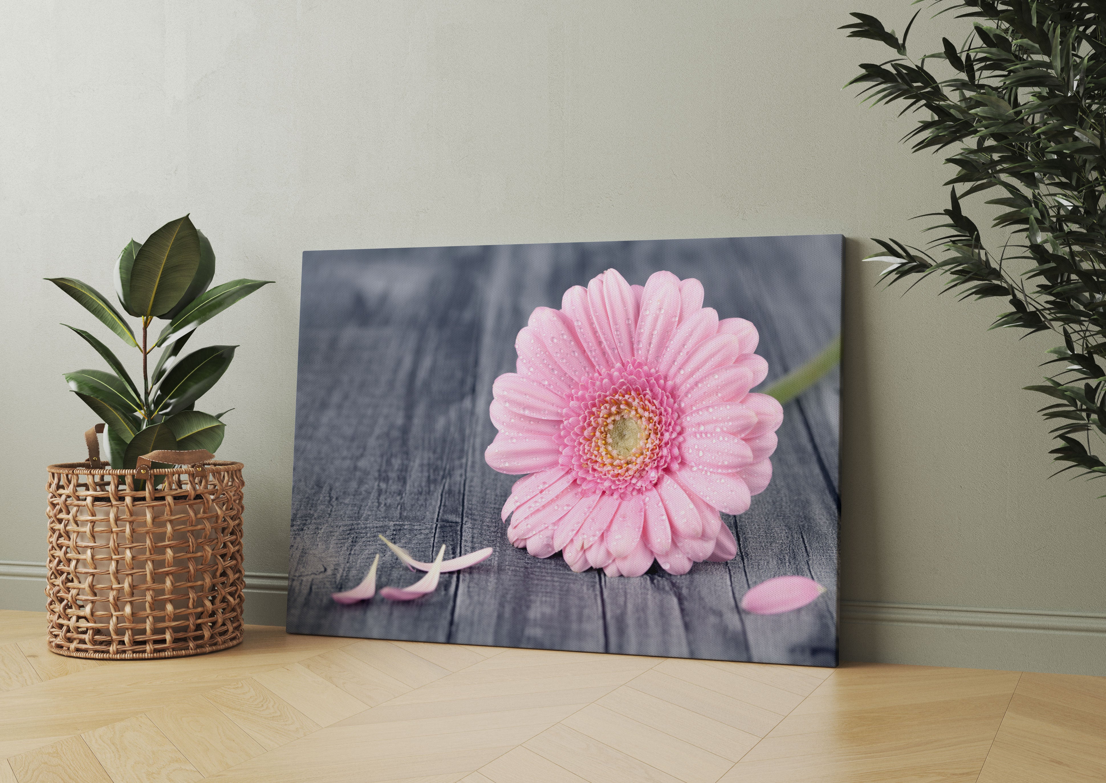 pinke Gerbera auf rustikalem Boden Leinwandbild Wohnzimmer