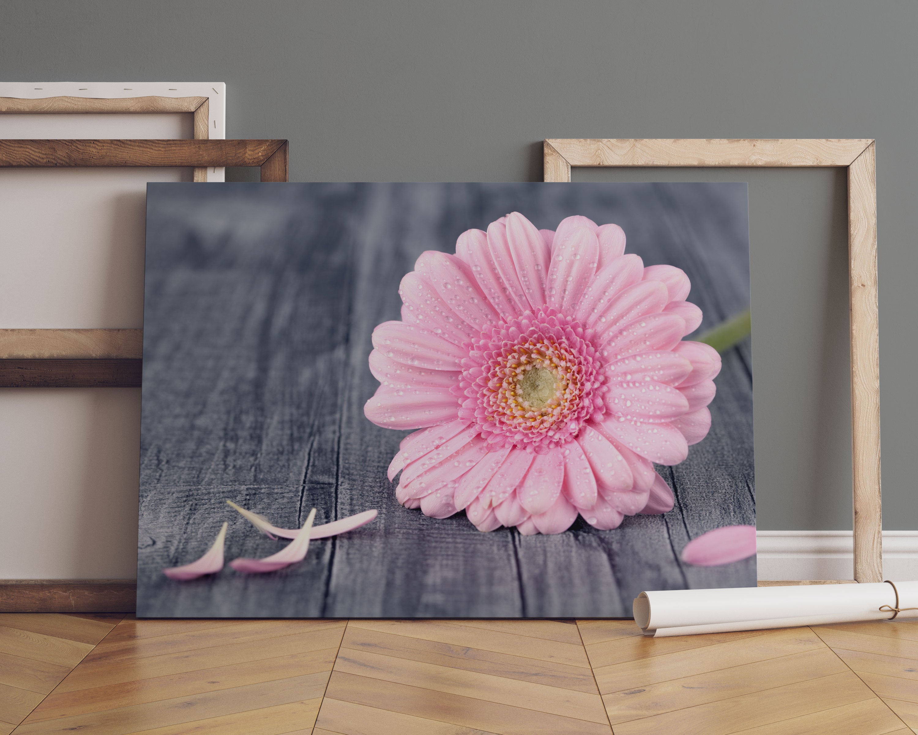 pinke Gerbera auf rustikalem Boden Leinwandbild Sofa