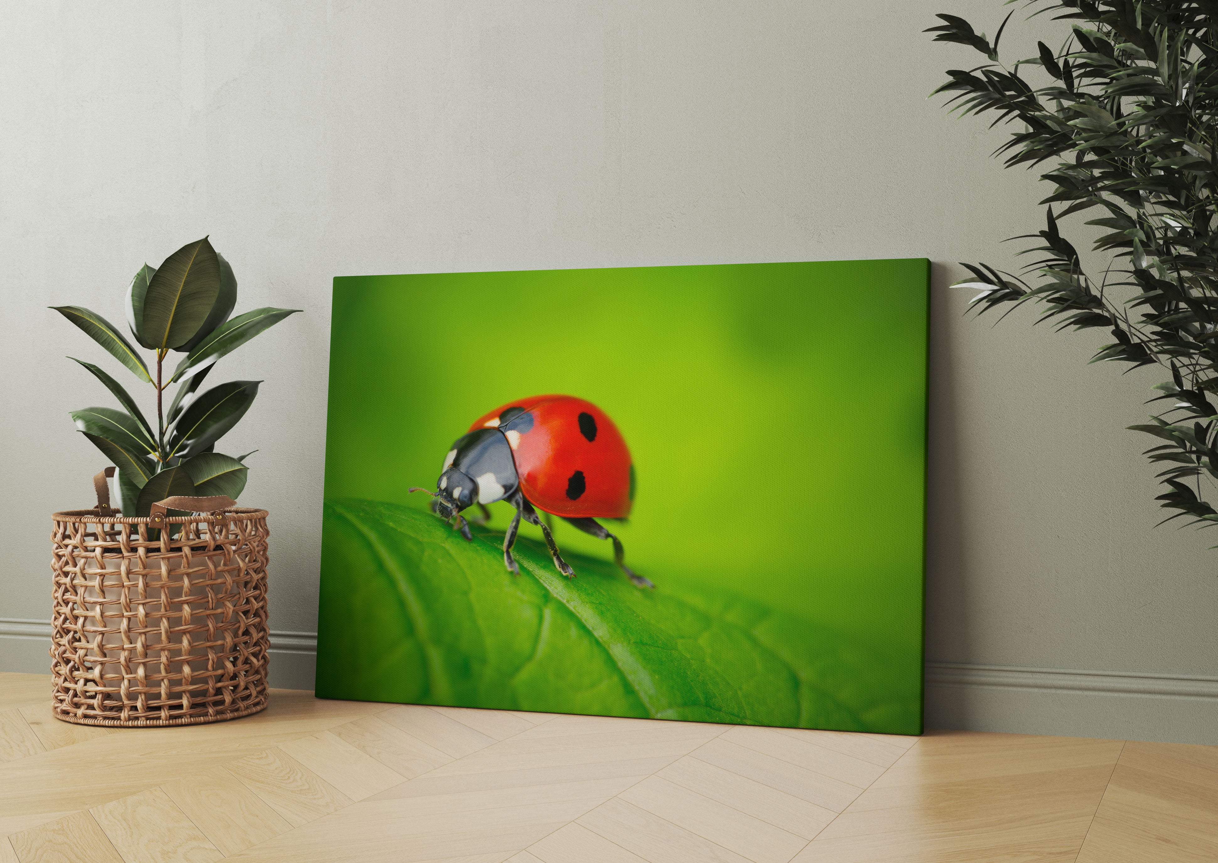 Marienkäfer auf Blatt Leinwandbild Wohnzimmer