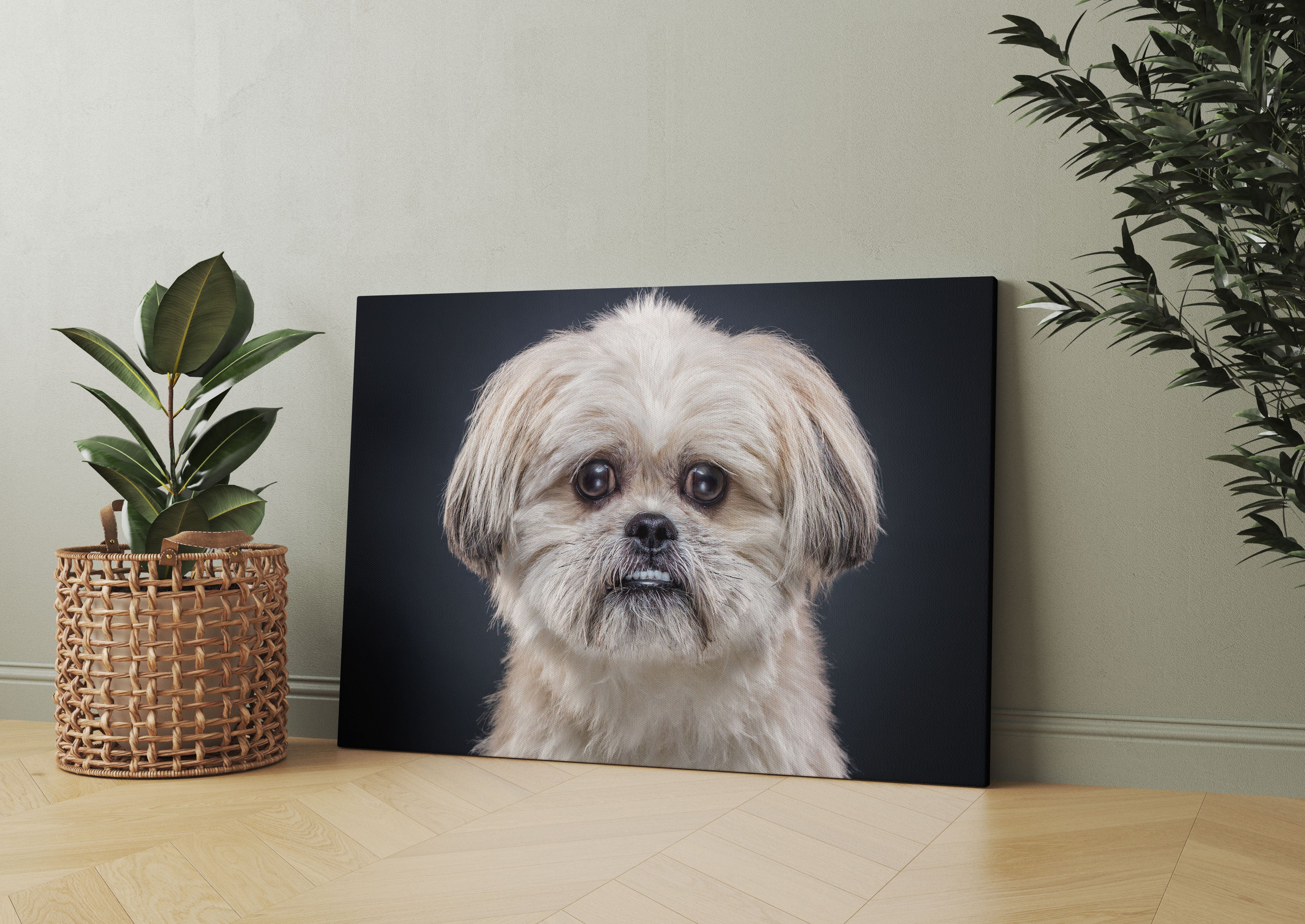 lustiger kleiner Hund Leinwandbild Wohnzimmer