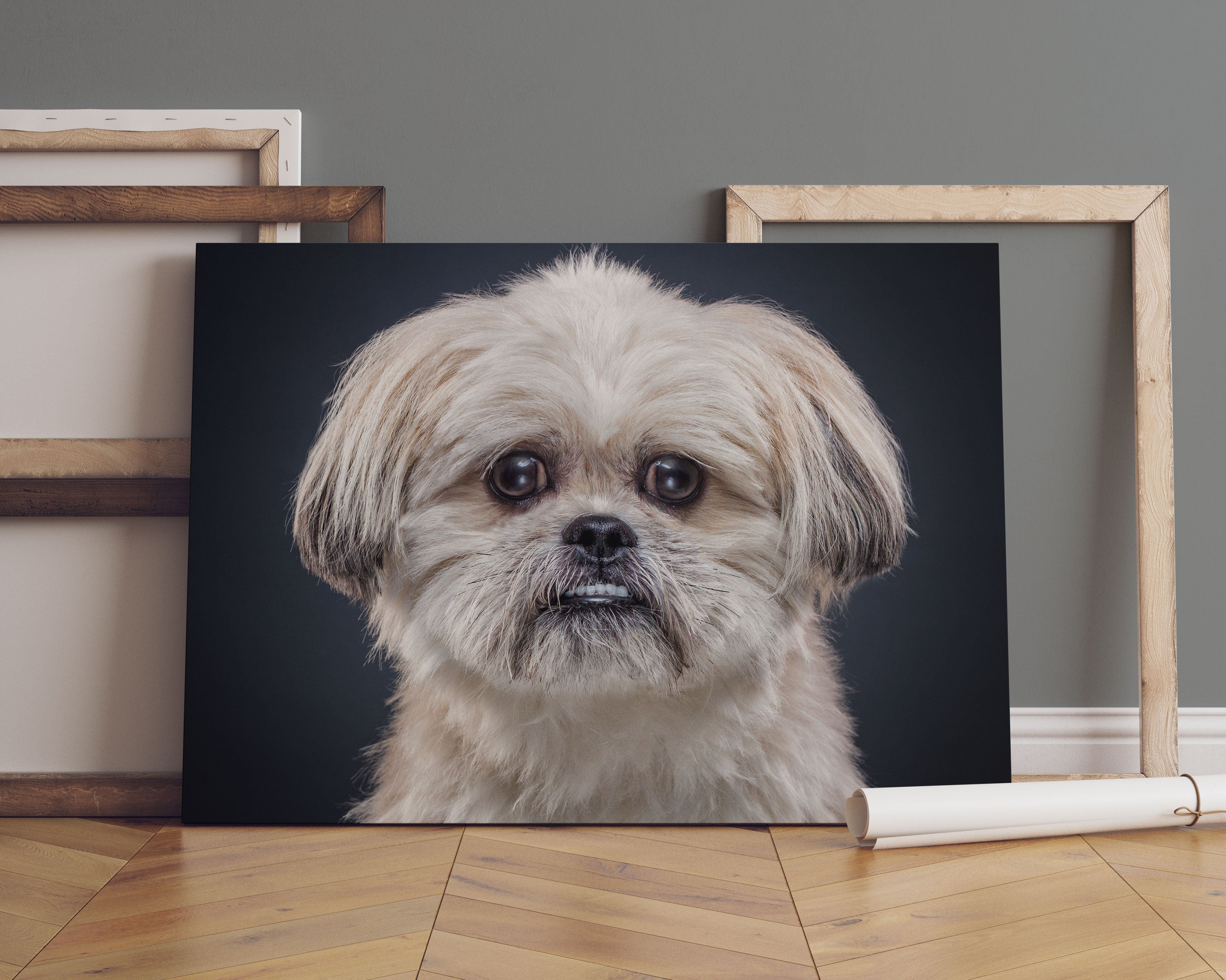 lustiger kleiner Hund Leinwandbild Sofa