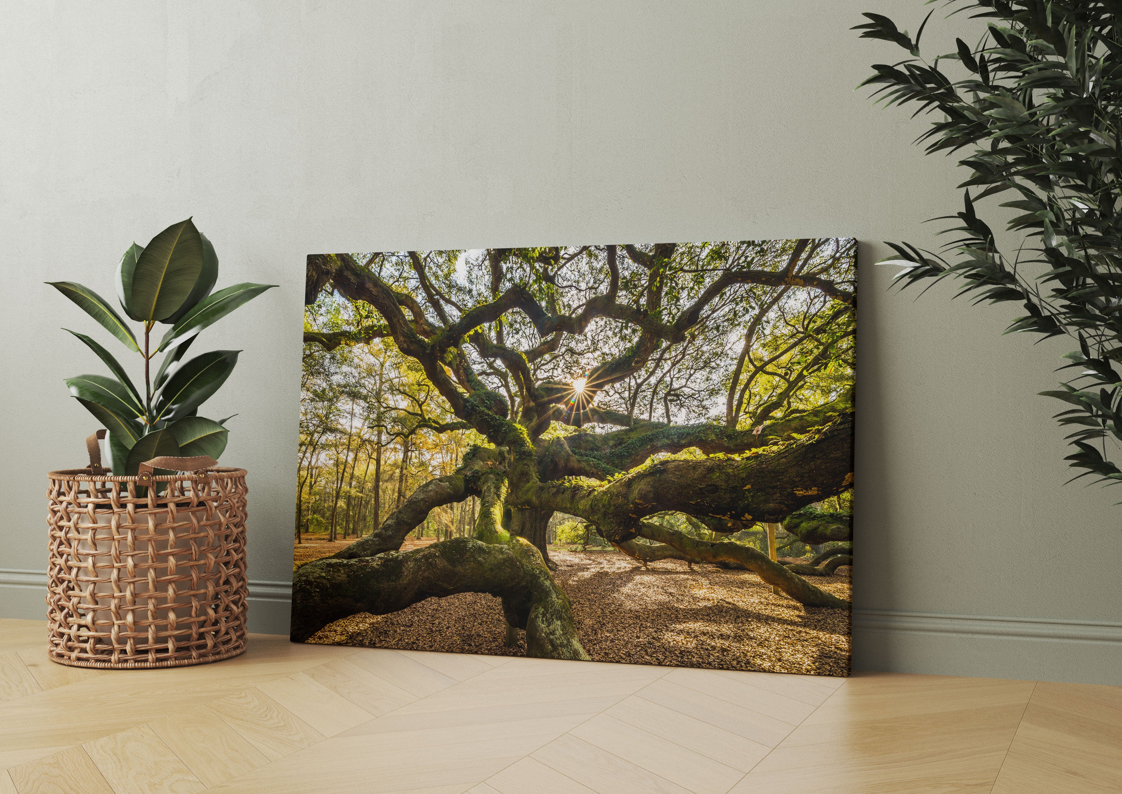 gigantisch verzweigter Baum Leinwandbild Wohnzimmer