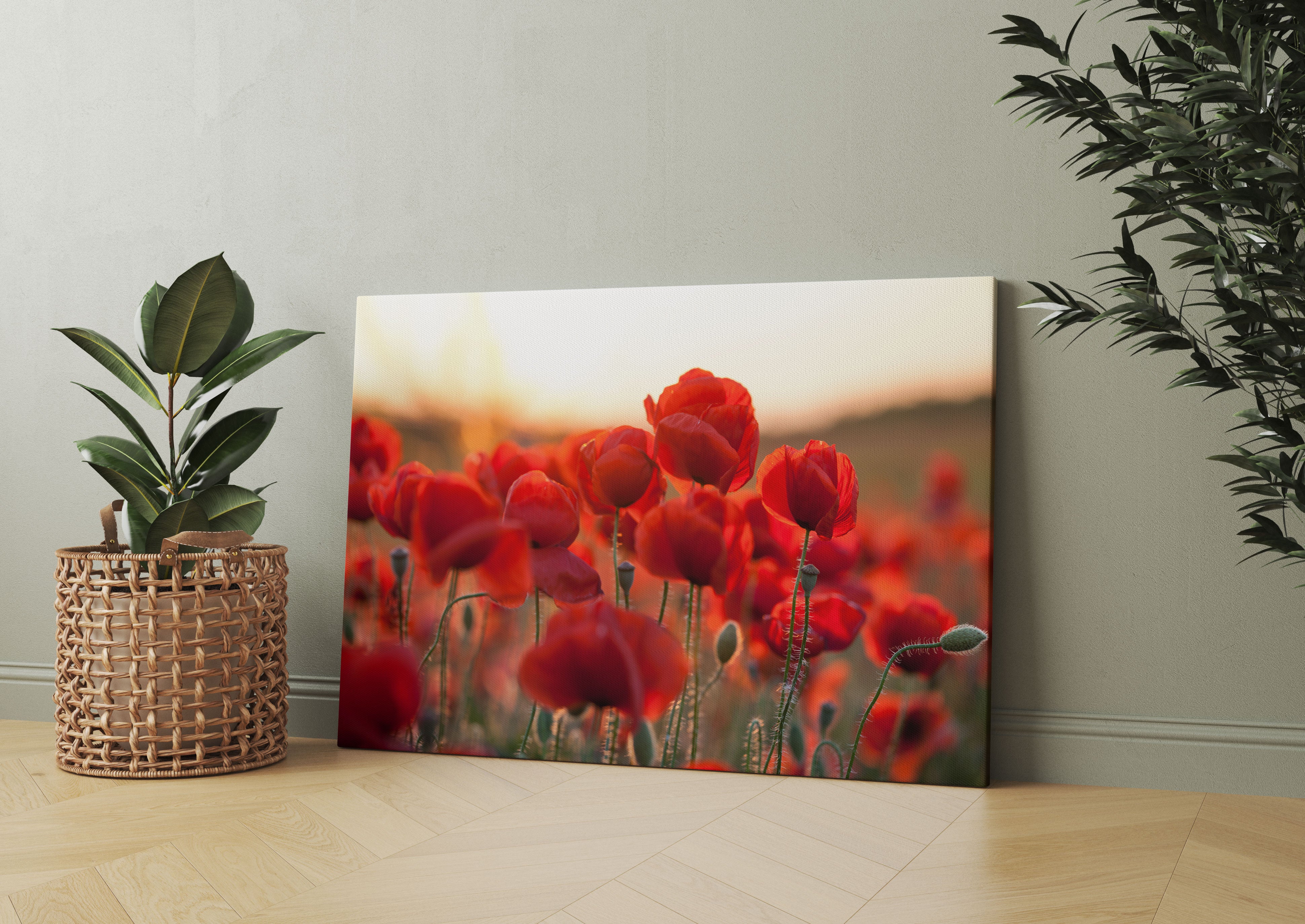 Feuriger Mohn Leinwandbild Wohnzimmer